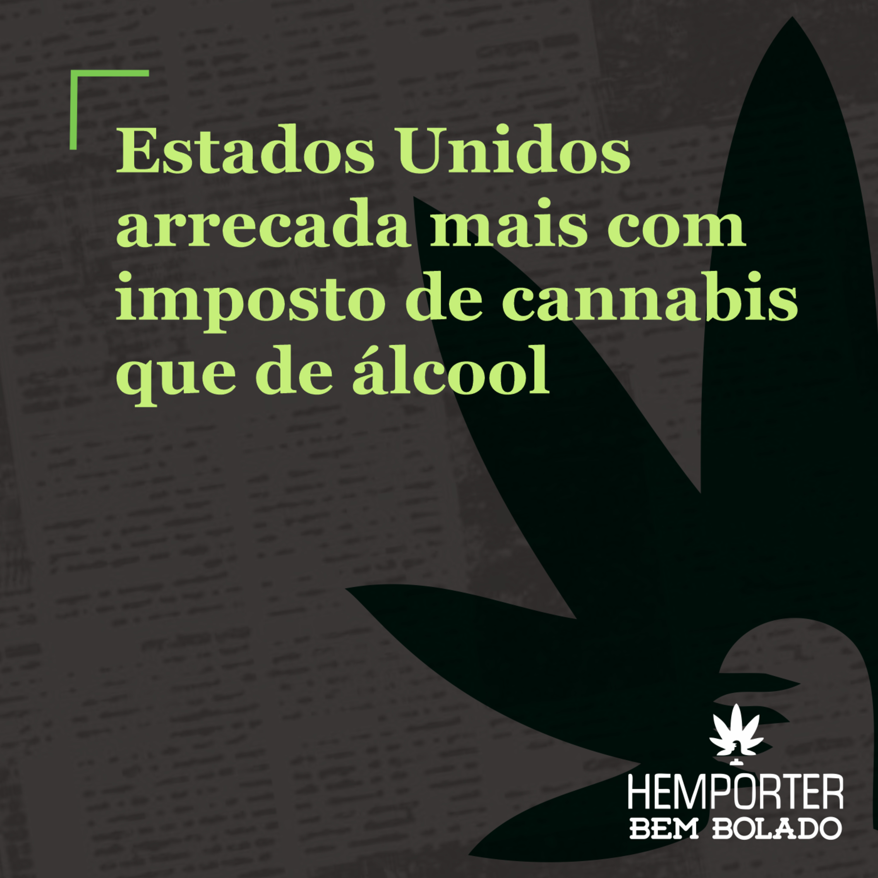 Estados Unidos arrecada mais com imposto de cannabis que de álcool