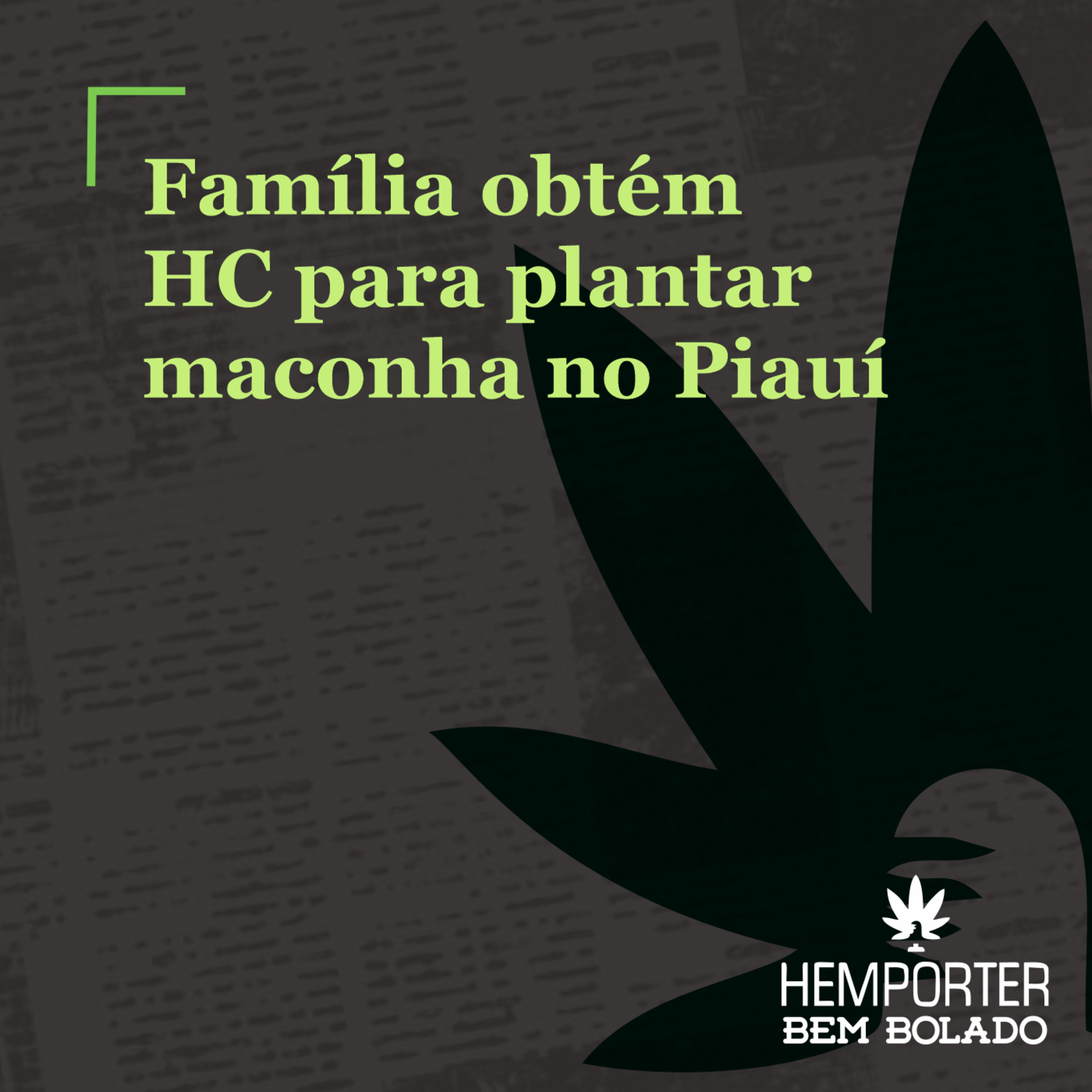 Família de menino que tinha 200 convulsões por dia obtém HC para plantar maconha no Piauí episode artwork
