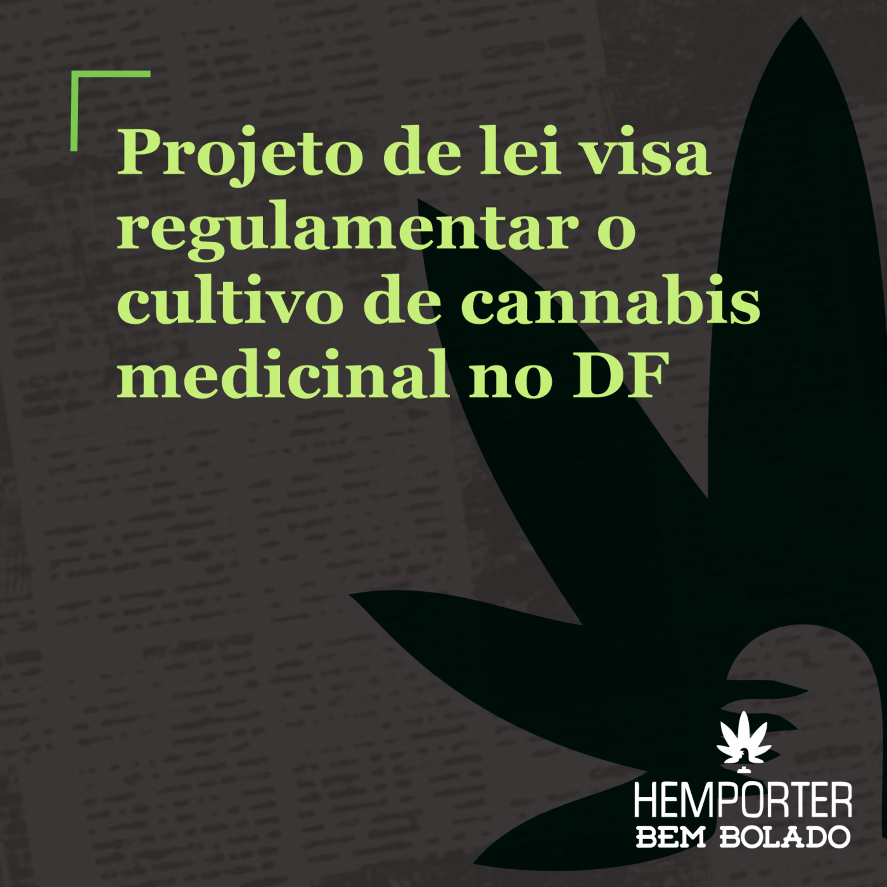 Projeto de lei visa regulamentar o cultivo de cannabis medicinal no DF episode artwork