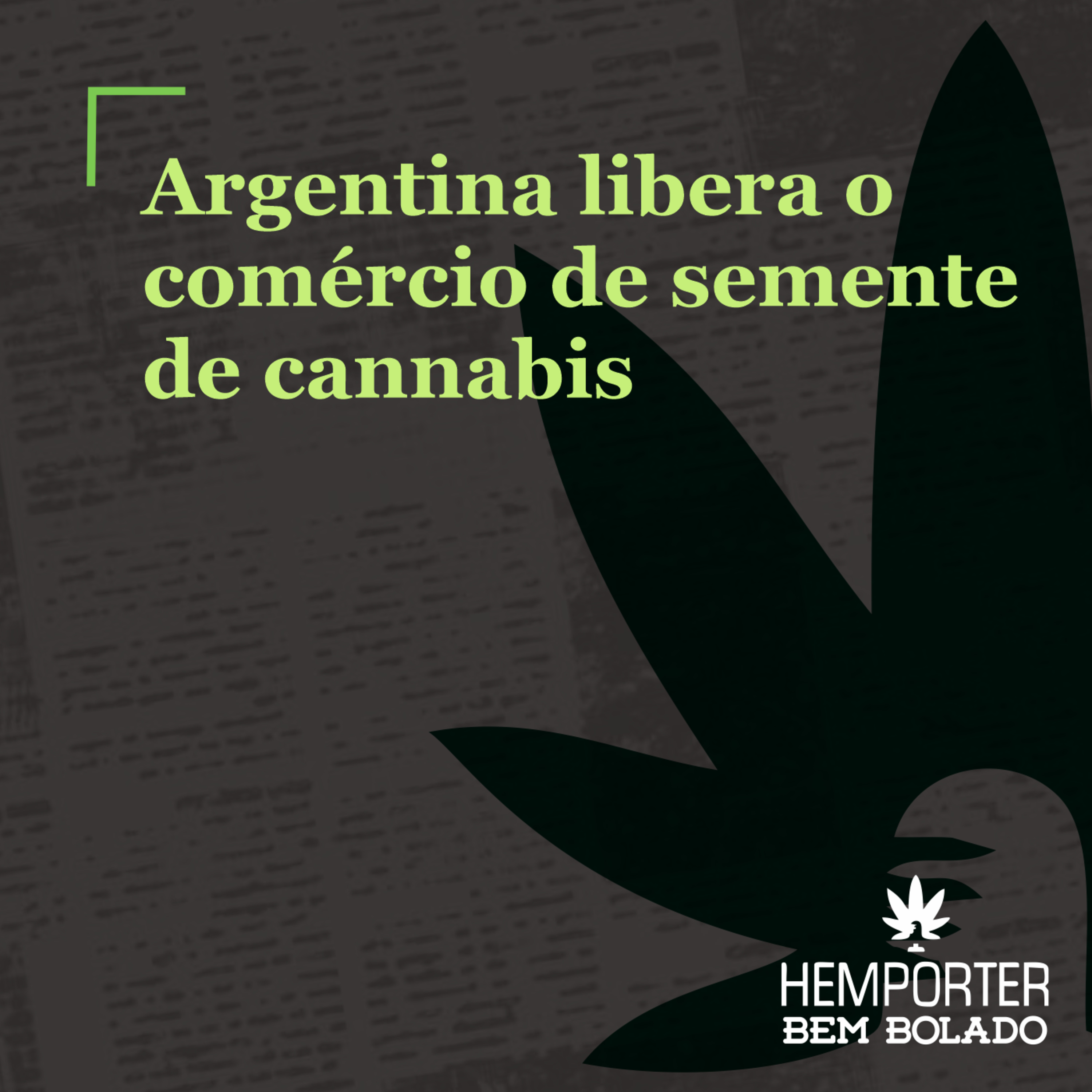 Comércio de sementes de cannabis é autorizado na Argentina episode artwork