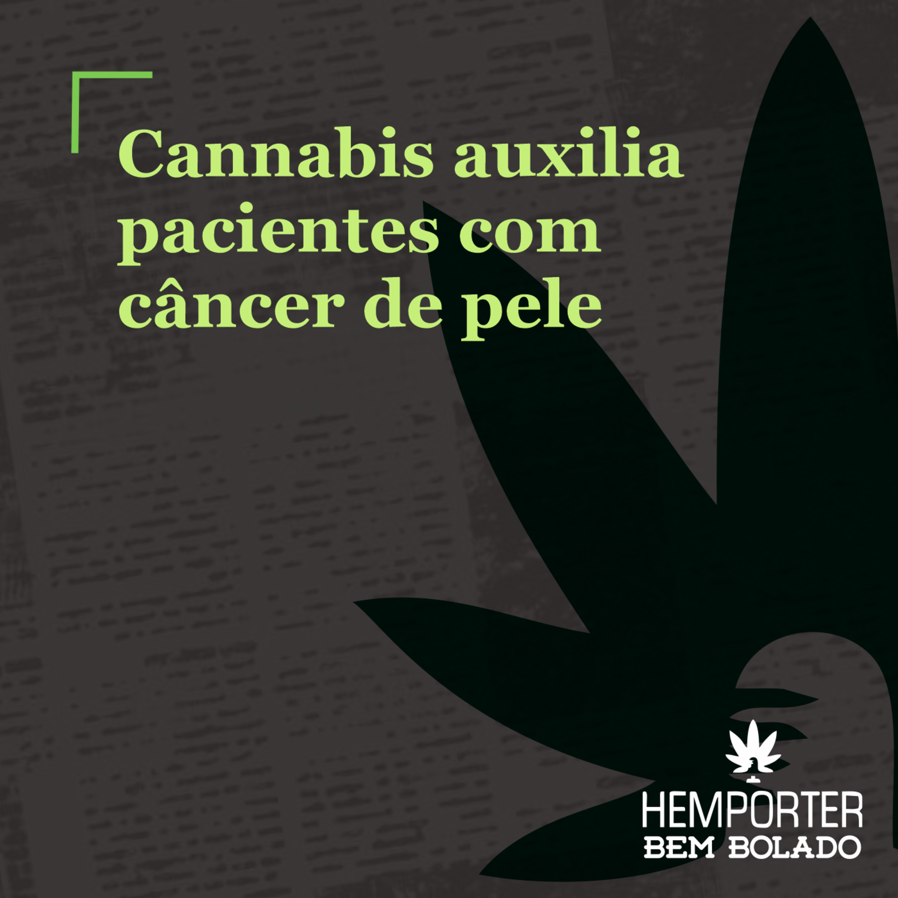Cannabis auxilia pacientes de câncer de pele episode artwork