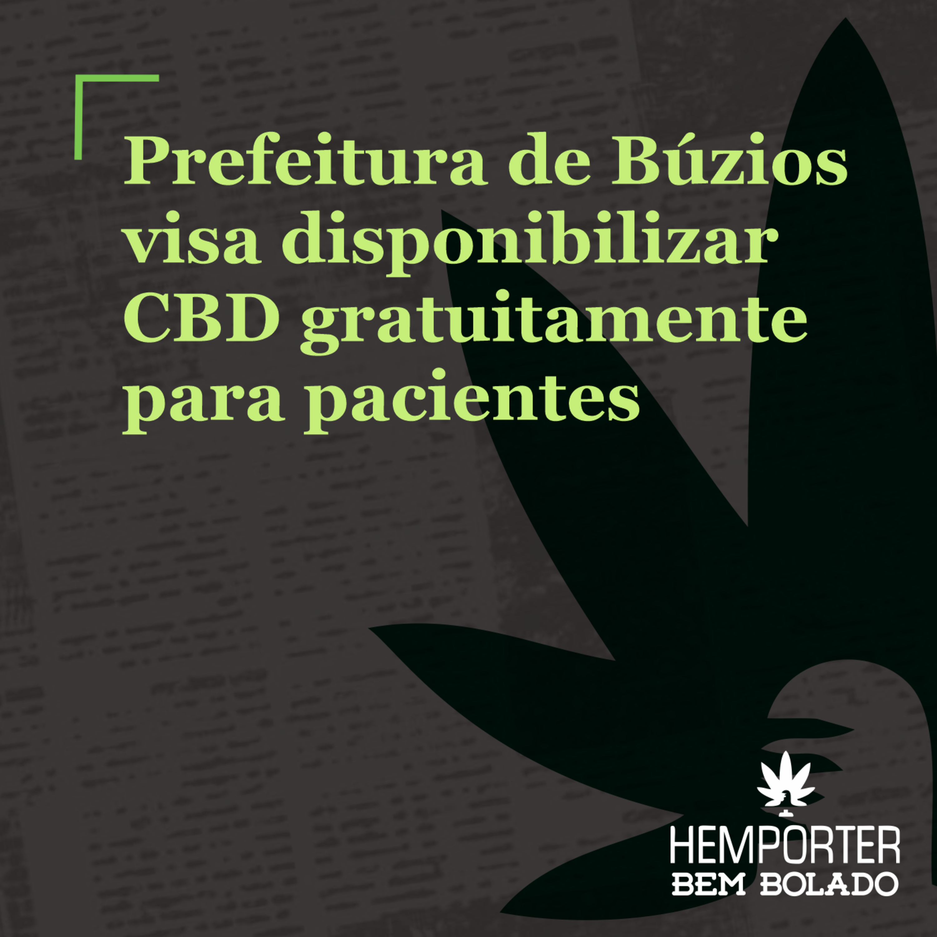 Prefeitura de Búzios pretende disponibilizar CBD gratuitamente para pacientes episode artwork