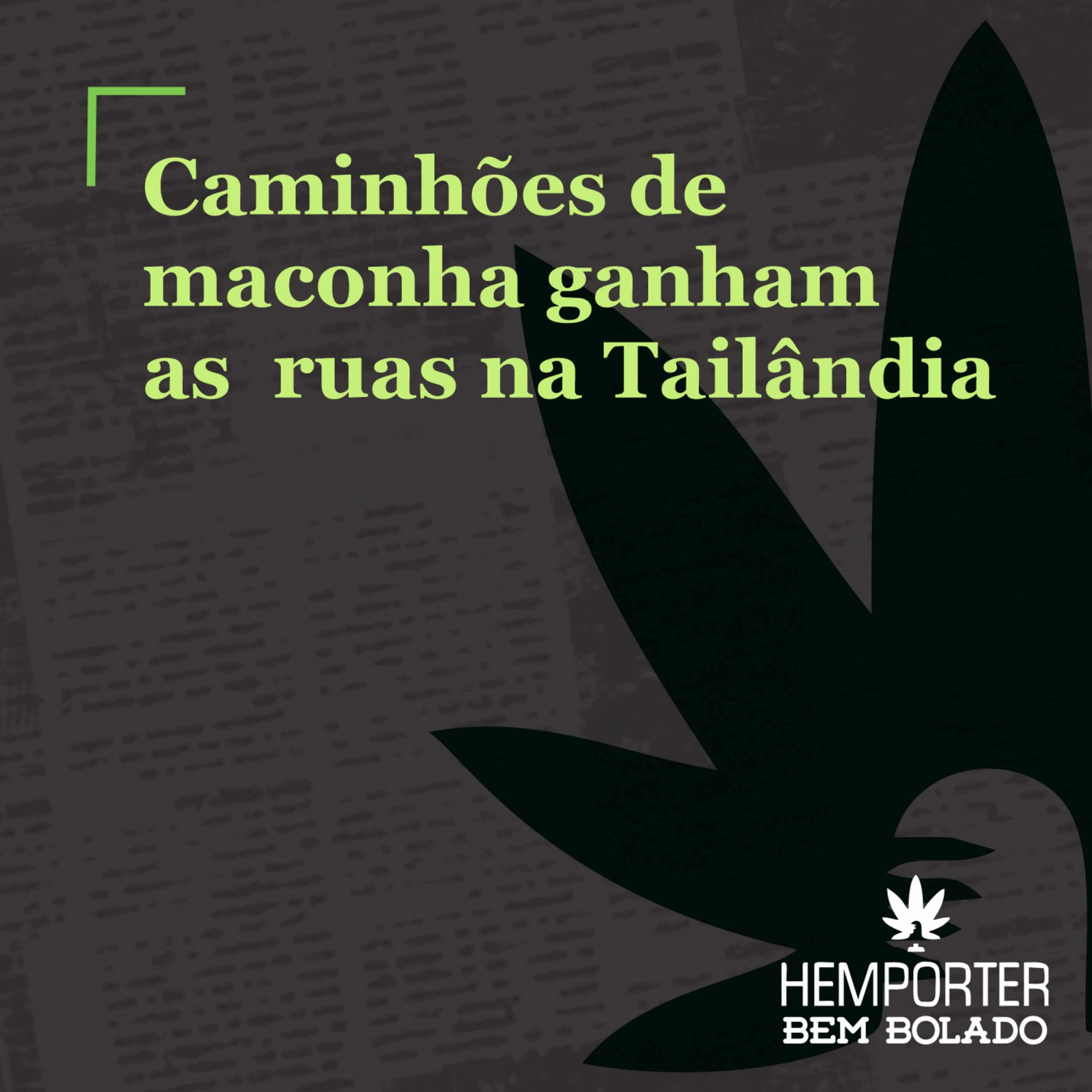 Caminhões de maconha ganham as ruas na Tailândia episode artwork
