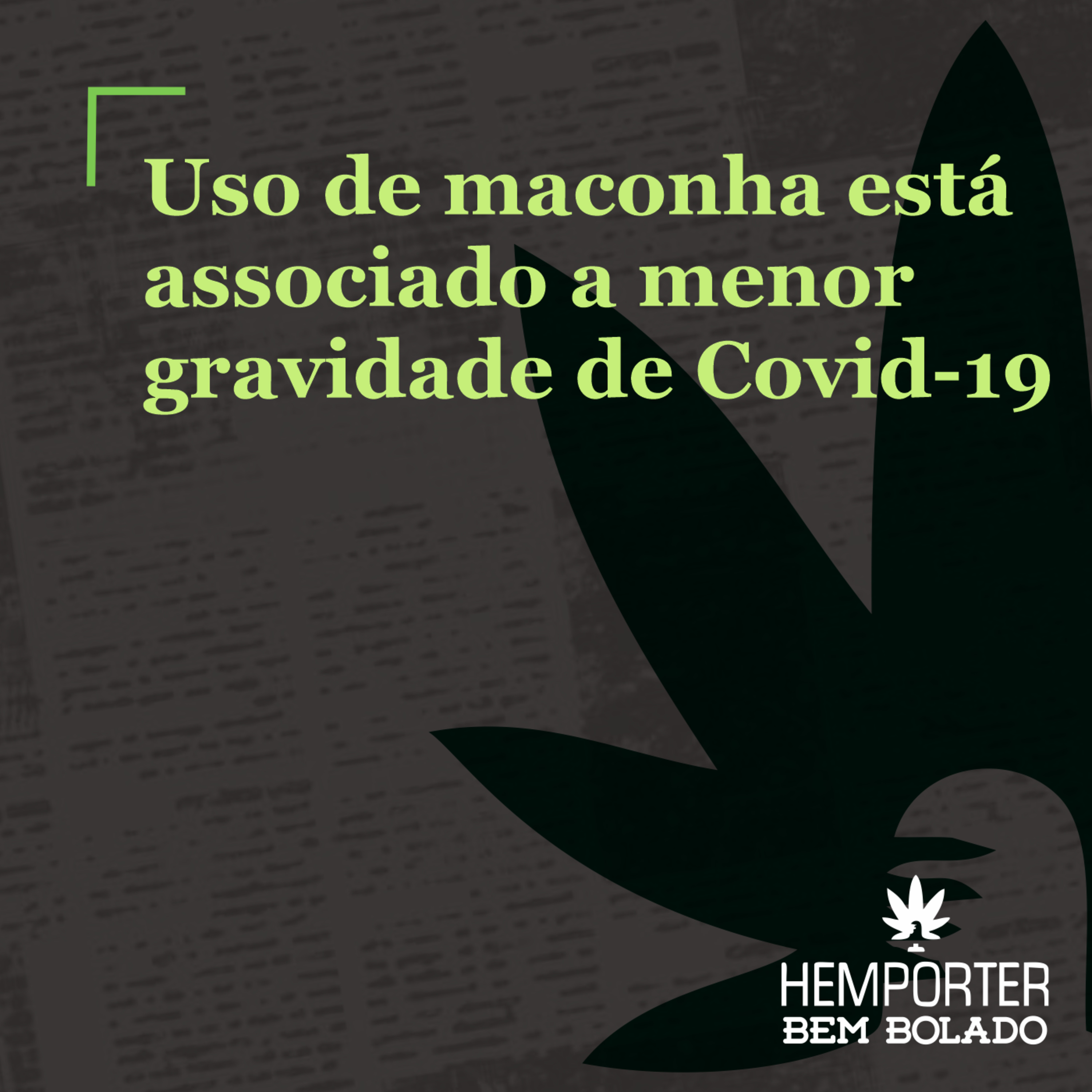 Uso de maconha está associado a menor gravidade de Covid-19 episode artwork
