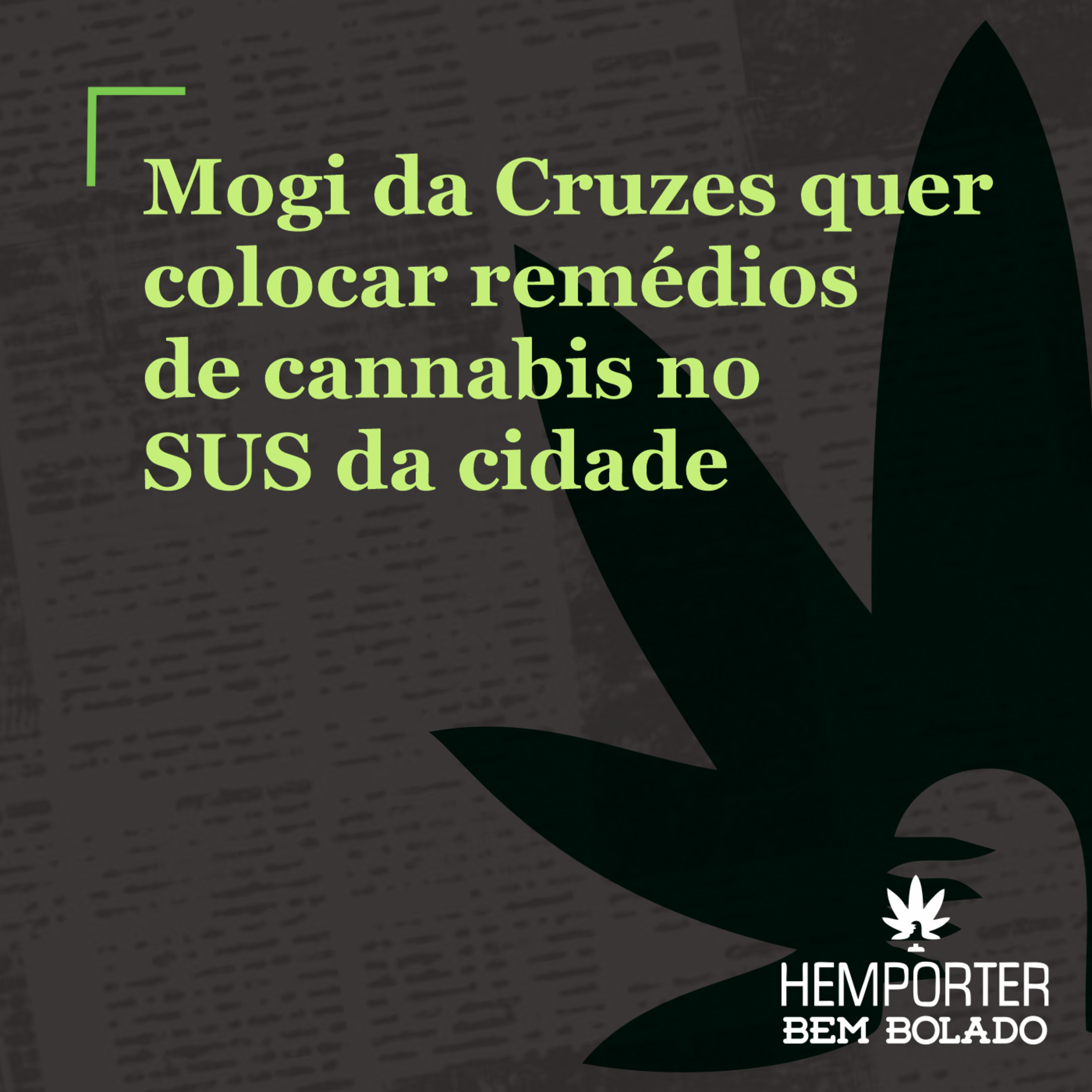 Mogi da Cruzes pretende colocar medicamentos de cannabis no sistema de saúde pública da cidade episode artwork