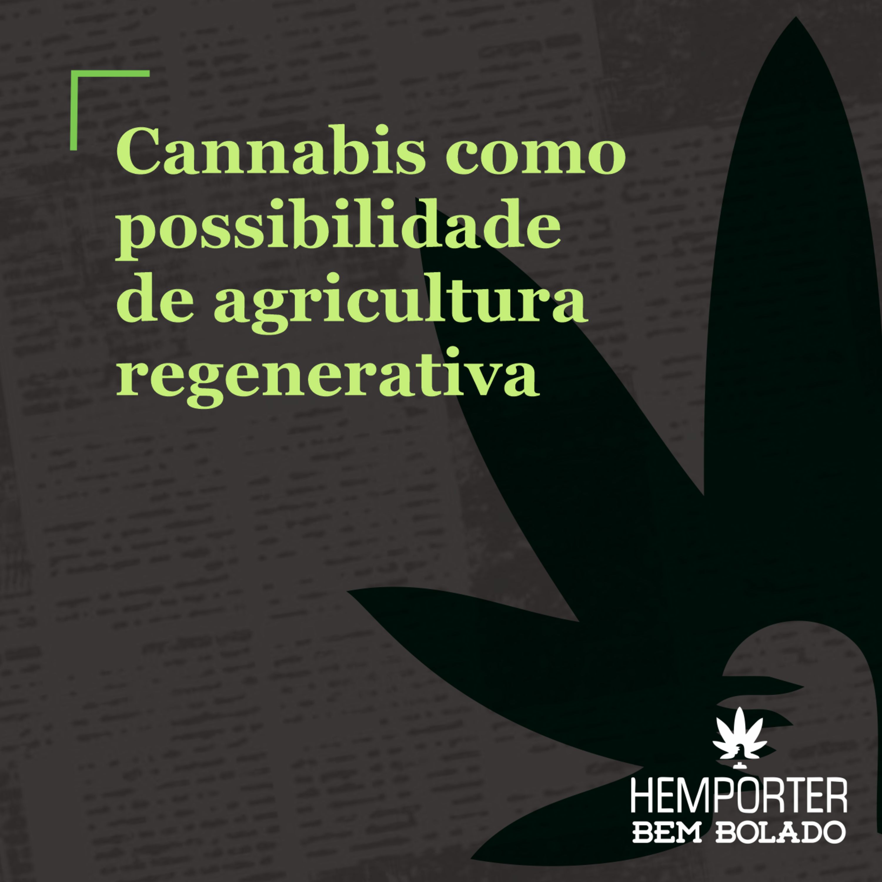 Cannabis como possibilidade de agricultura regenerativa episode artwork