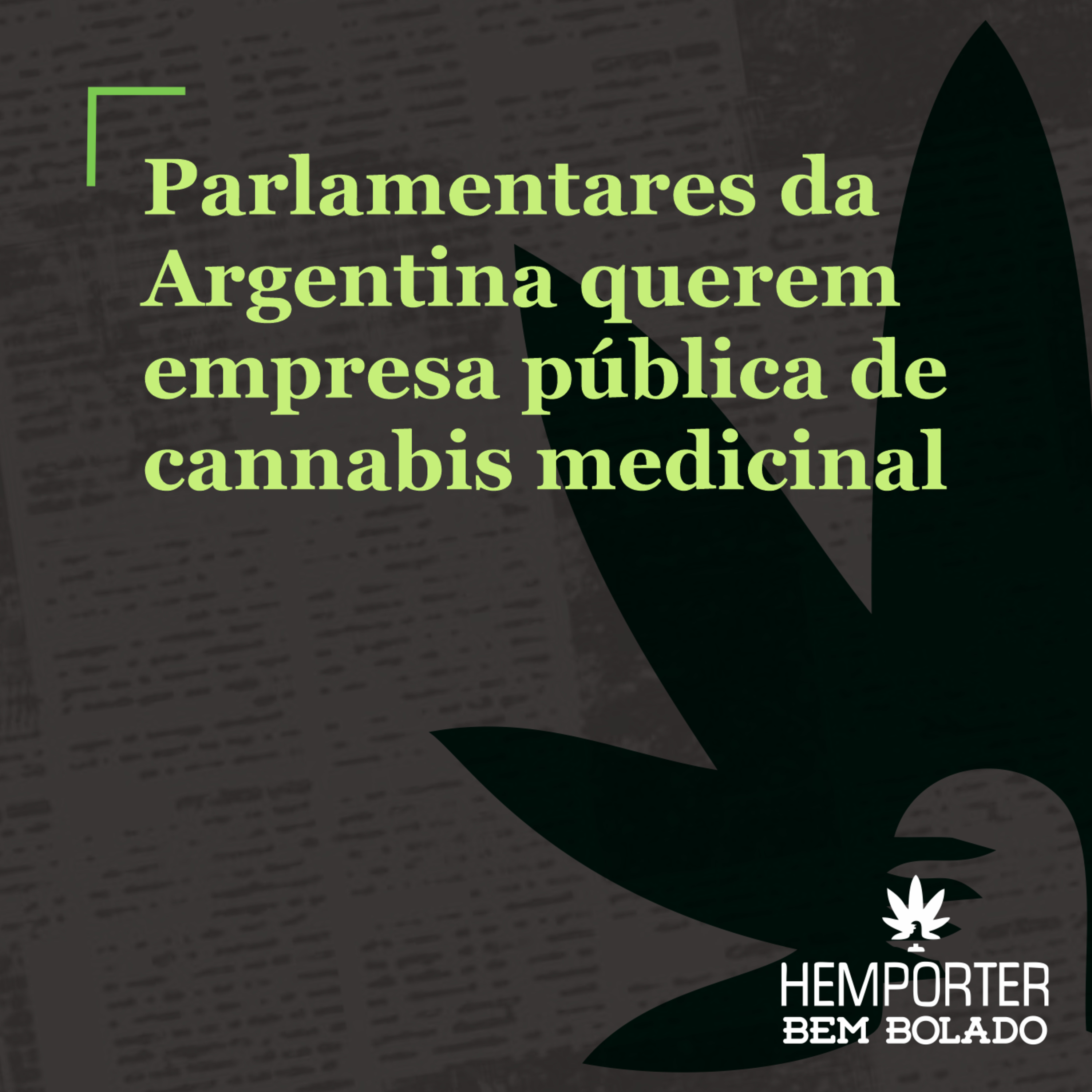 Parlamentares da Argentina querem criar empresa pública de cannabis medicinal episode artwork