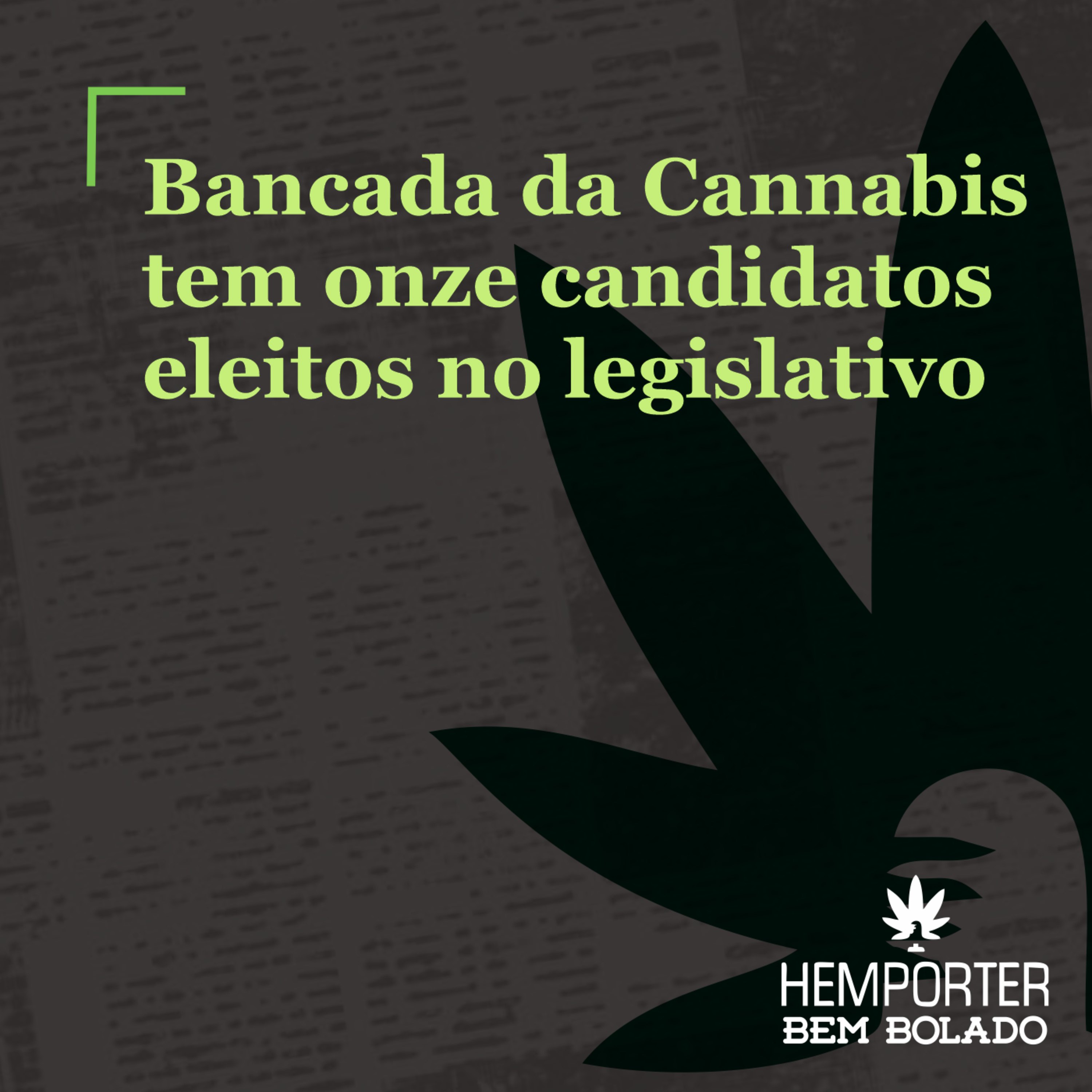 Bancada da Cannabis tem onze candidatos eleitos no legislativo episode artwork