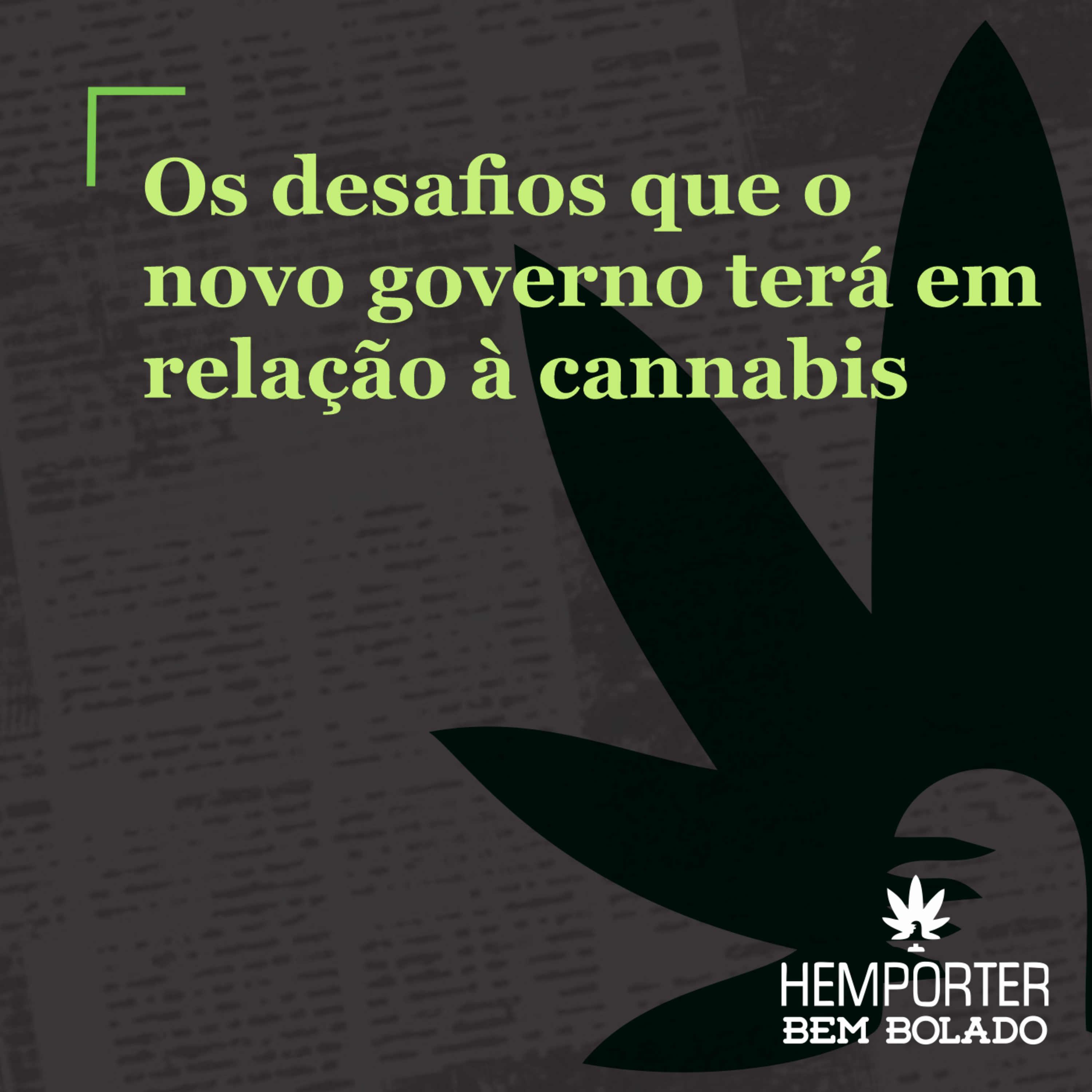 Os desafios do novo governo em relação à cannabis