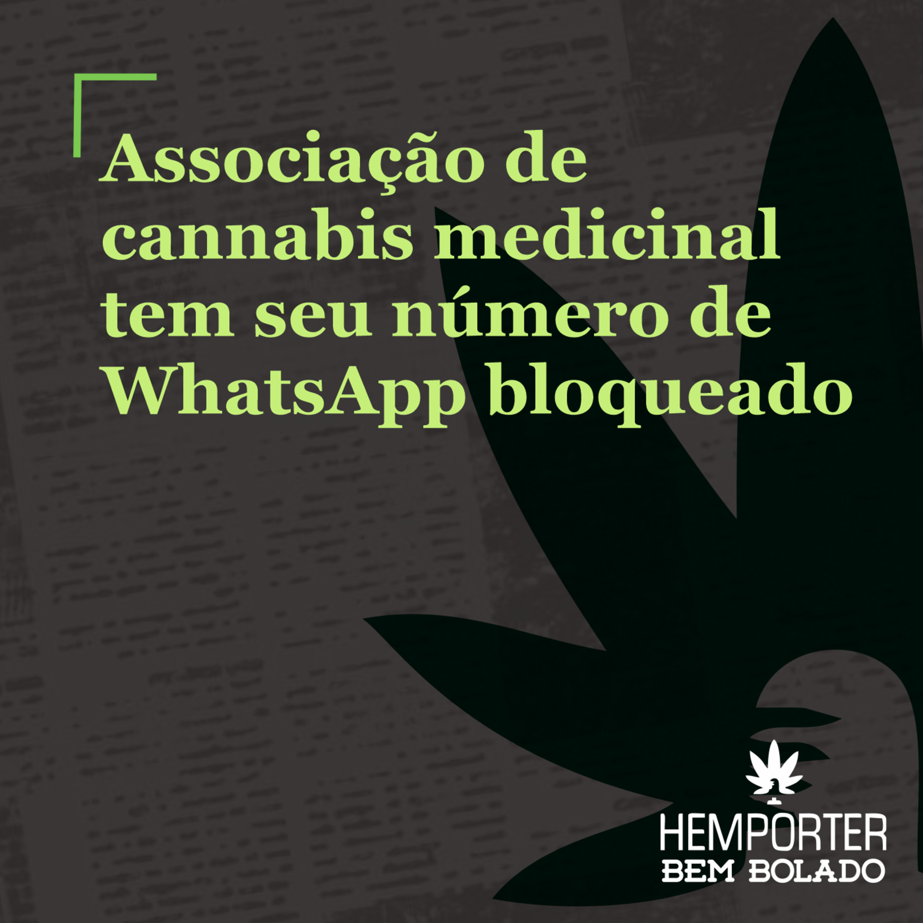 Associação de cannabis medicinal tem seu número de WhatsApp bloqueado episode artwork