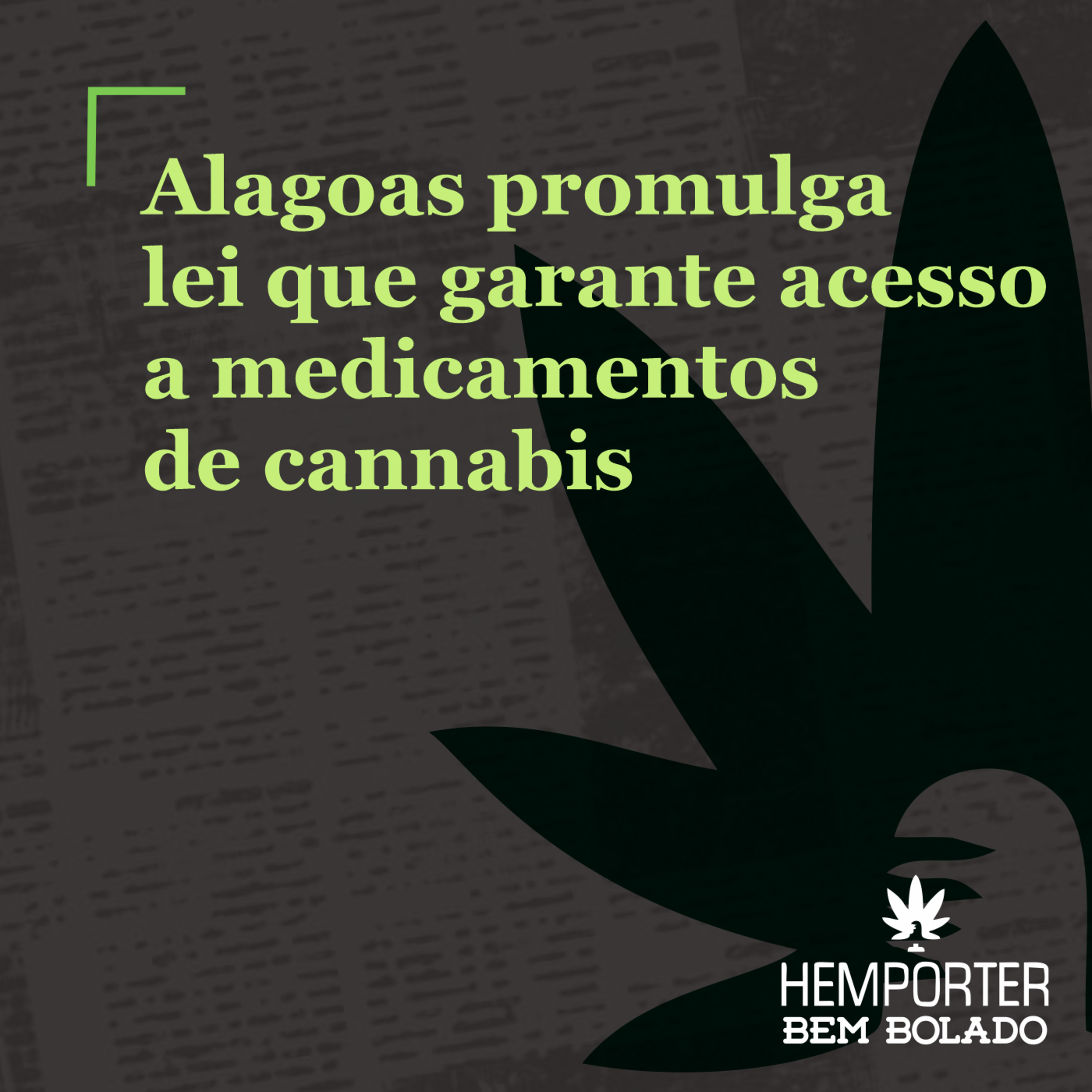 Alagoas promulga lei que garante acesso a medicamentos de cannabis episode artwork