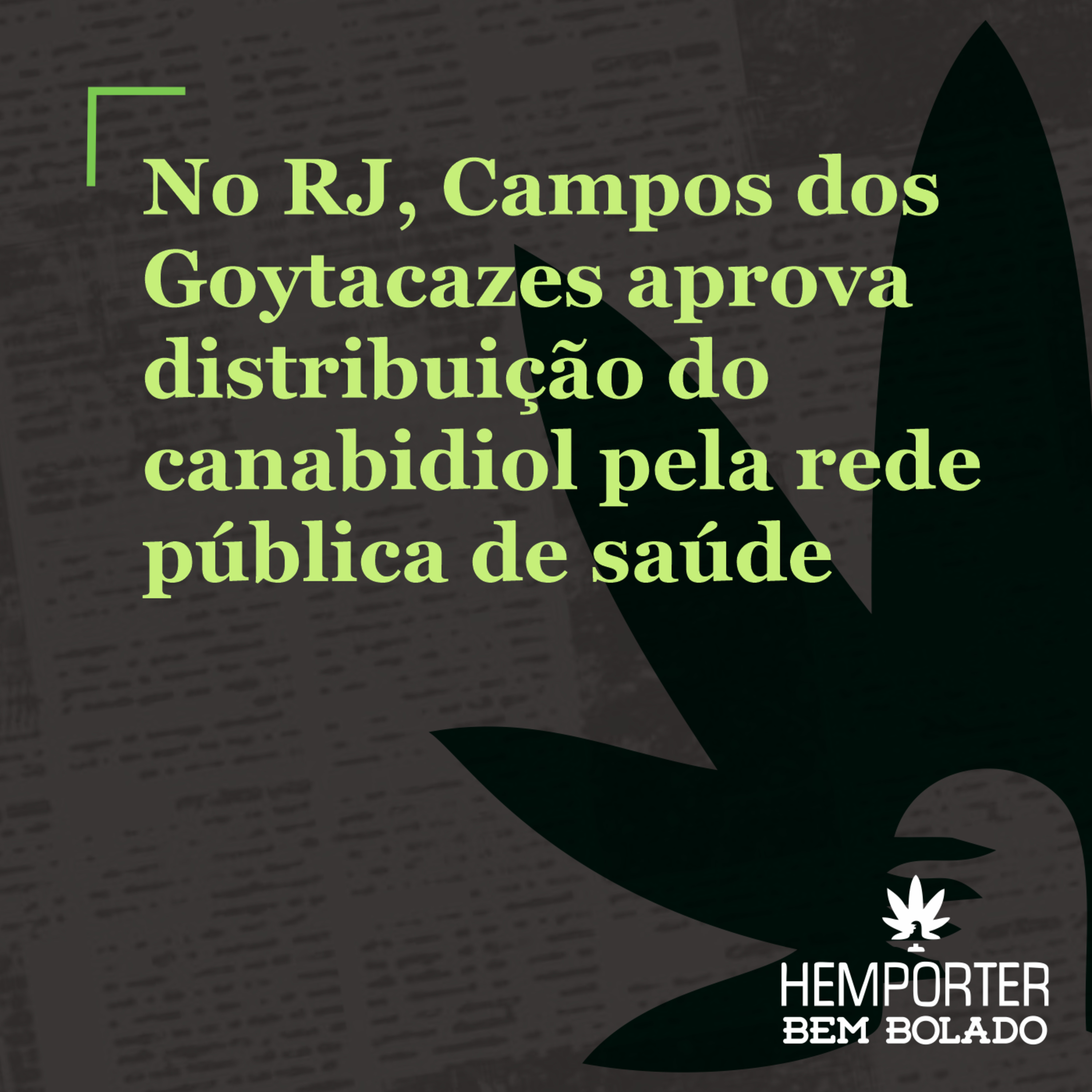 Campos dos Goytacazes (RJ) aprova distribuição do canabidiol pela rede pública de saúde