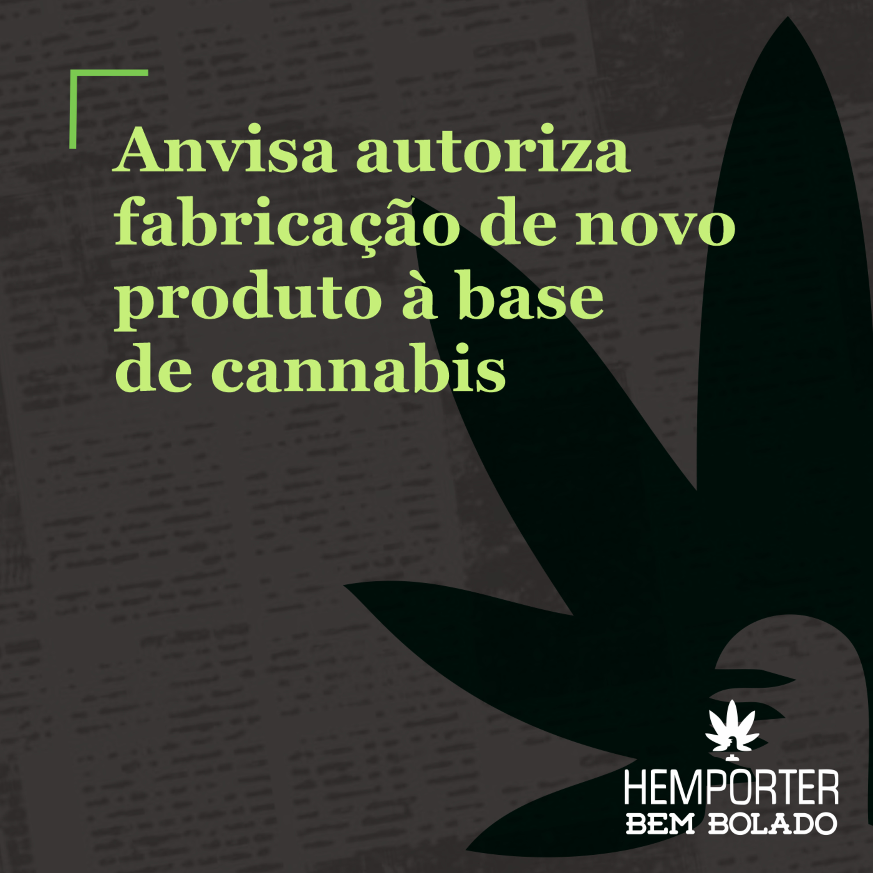 Anvisa autoriza fabricação de novo produto à base de cannabis episode artwork