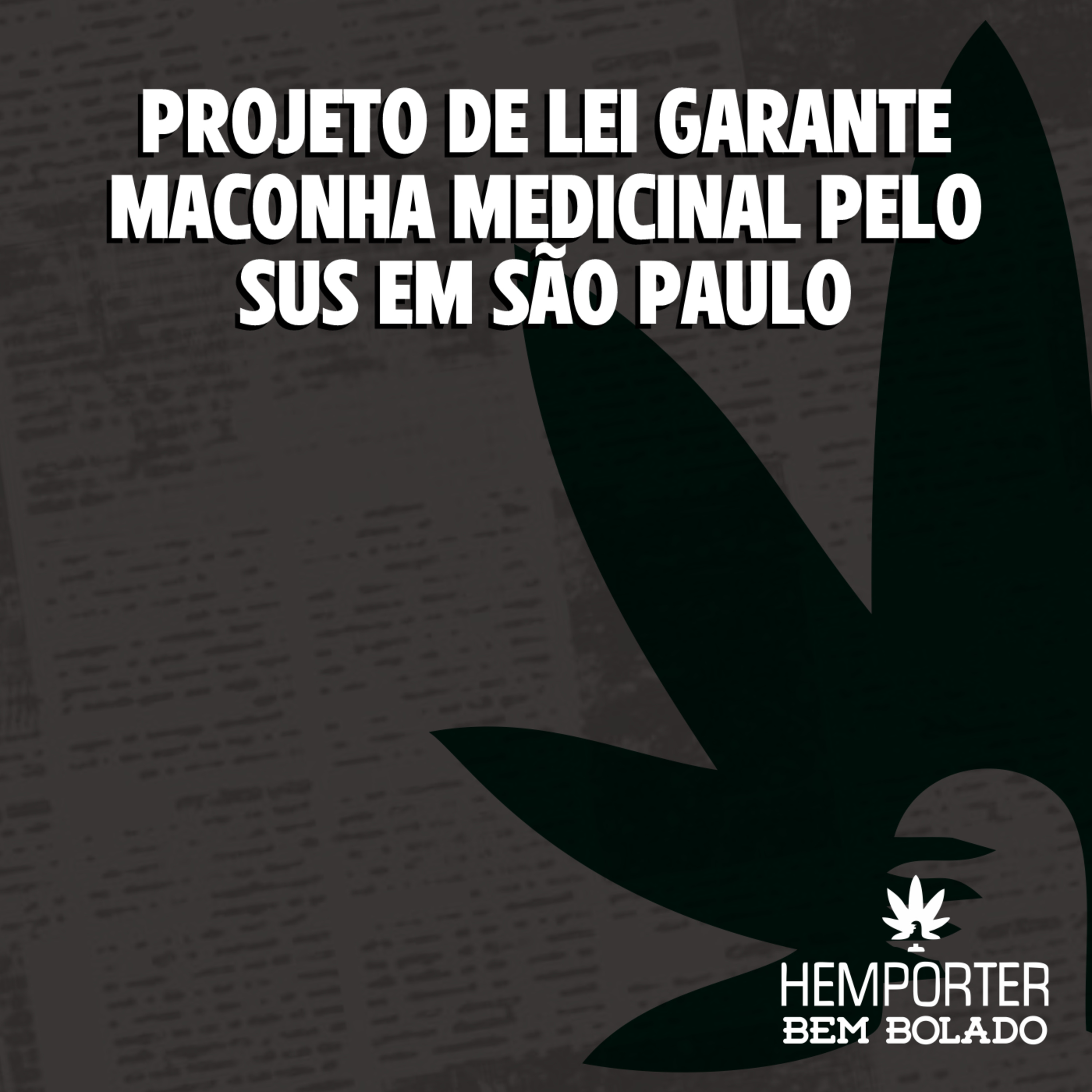 Projeto de Lei garante maconha medicinal pelo SUS em São Paulo episode artwork