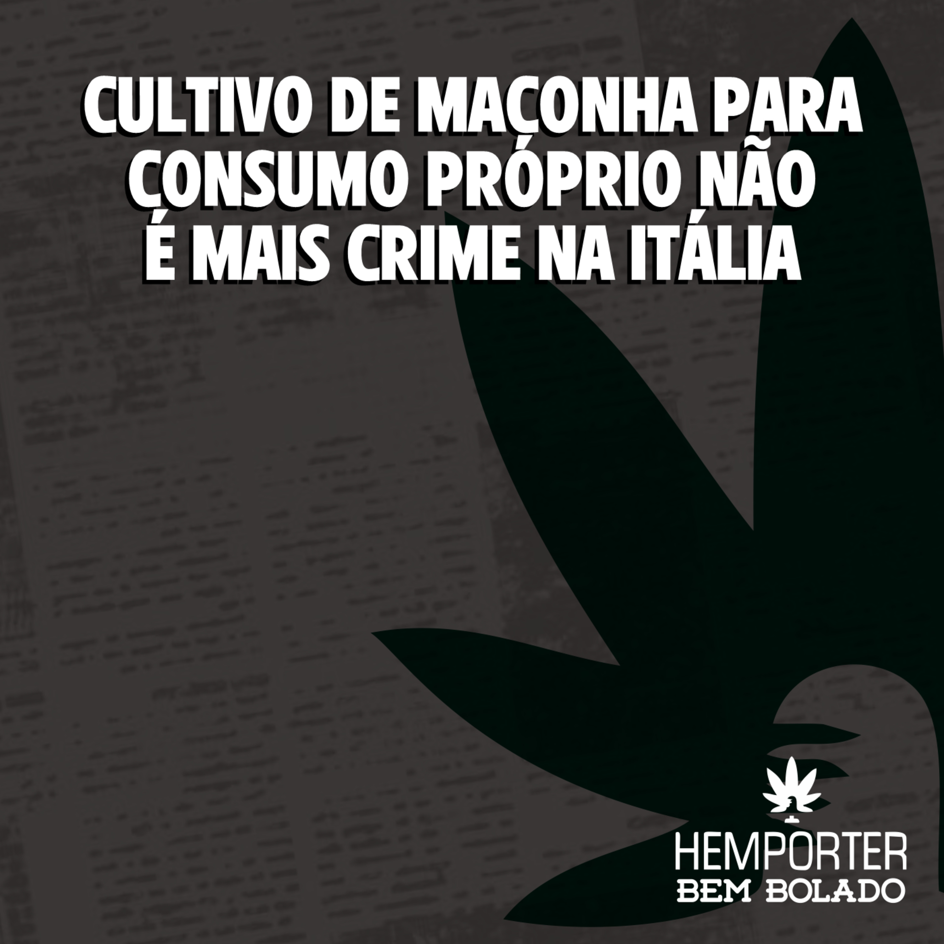 Cultivo de maconha para consumo próprio não é mais crime na Itália episode artwork