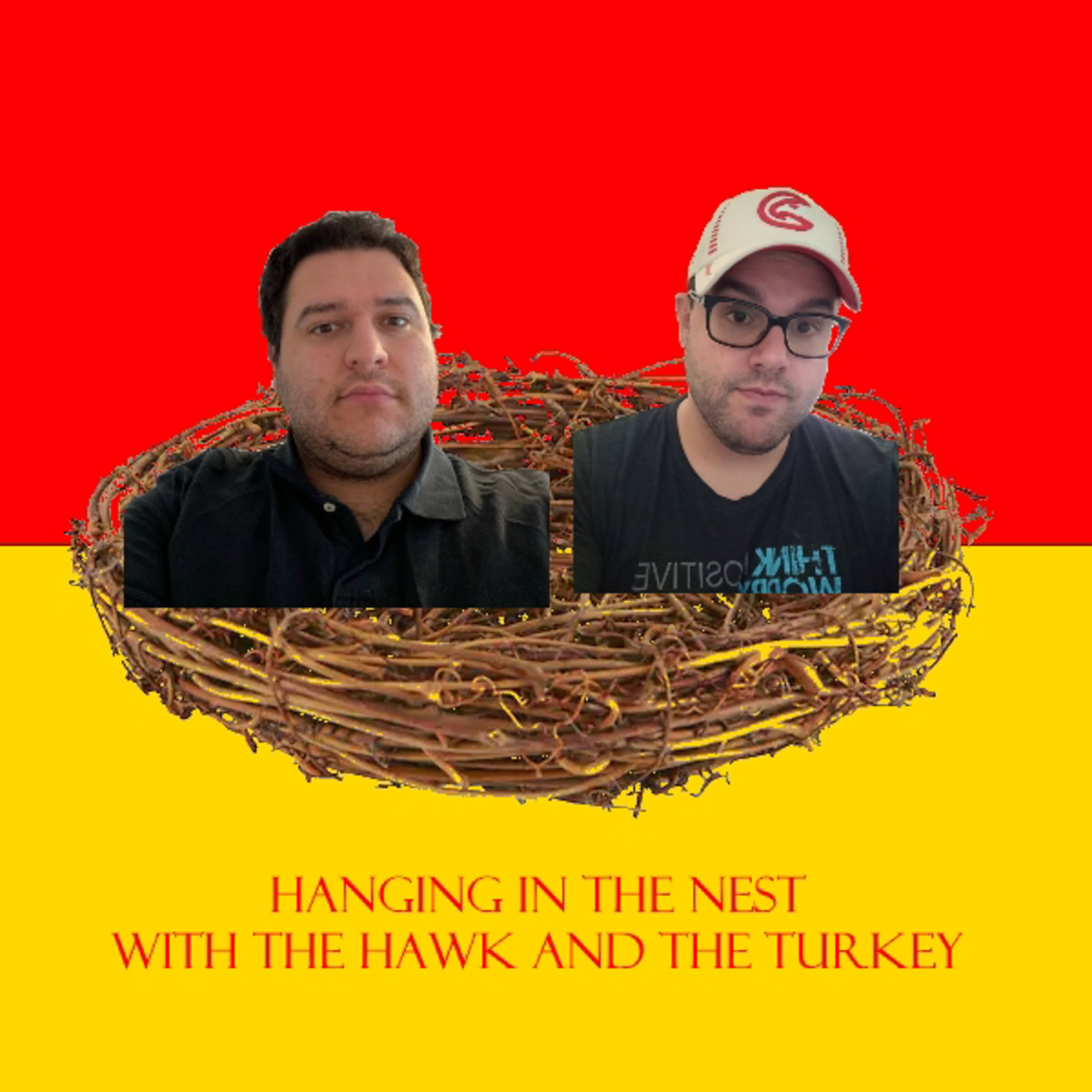 Hanging in the Nest