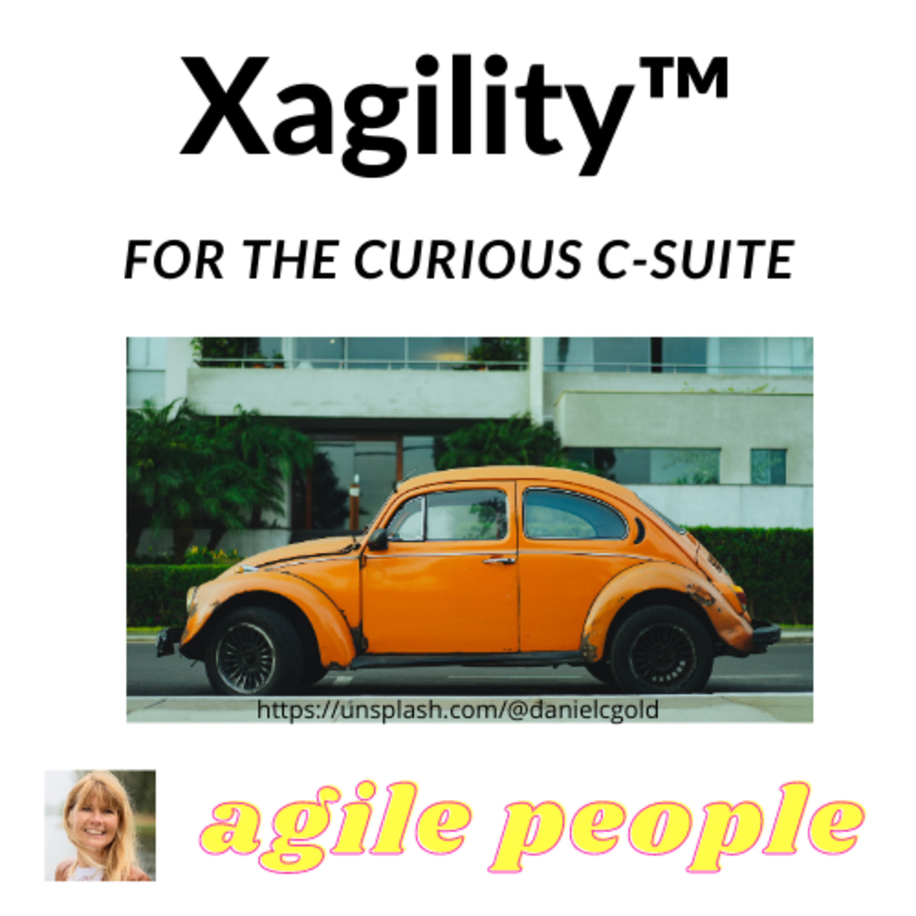 Sustainable Xagility™ - board & executive c-suite agility for the organization\'s direction of travel