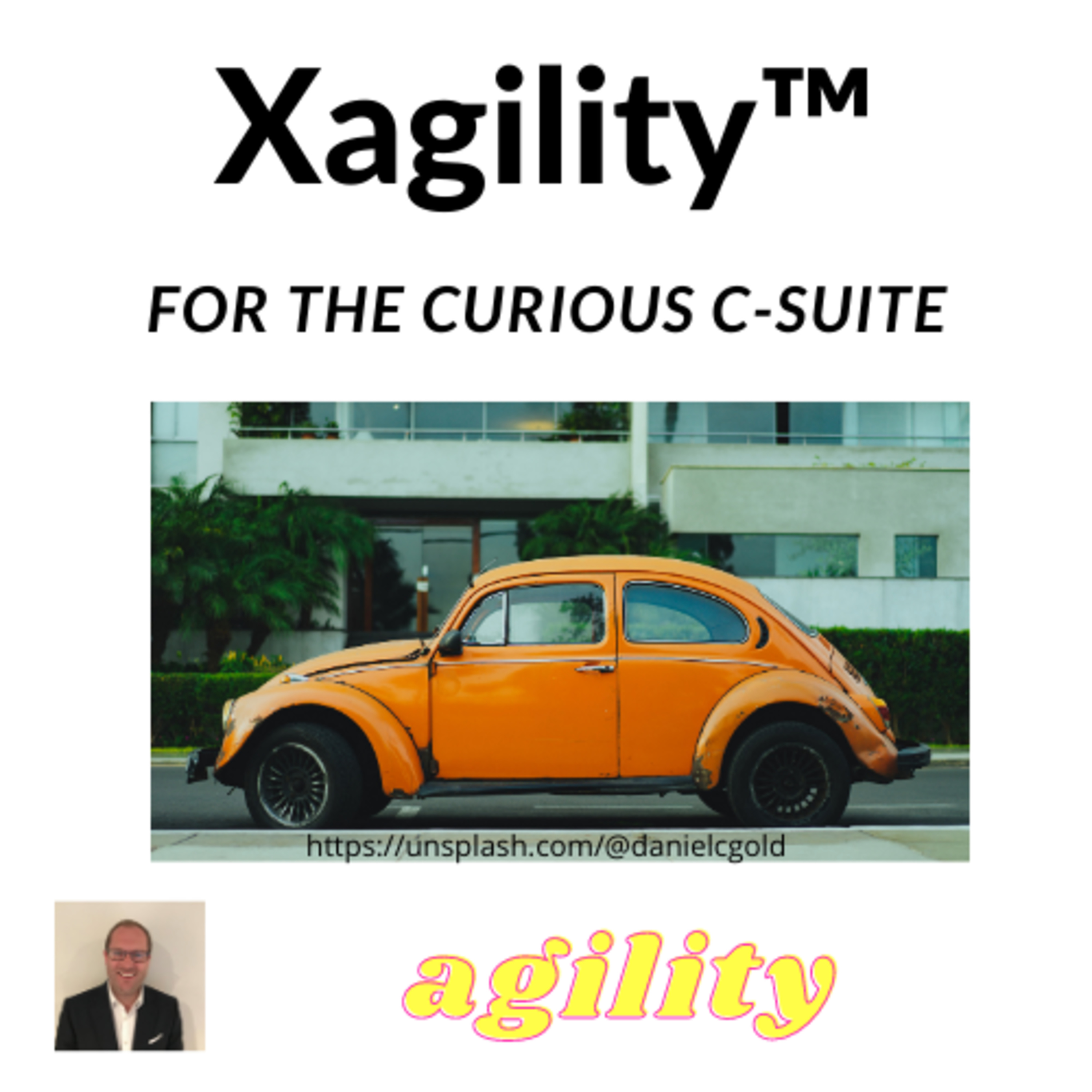 Sustainable Xagility™ - board & executive c-suite agility for the organization\'s direction of travel