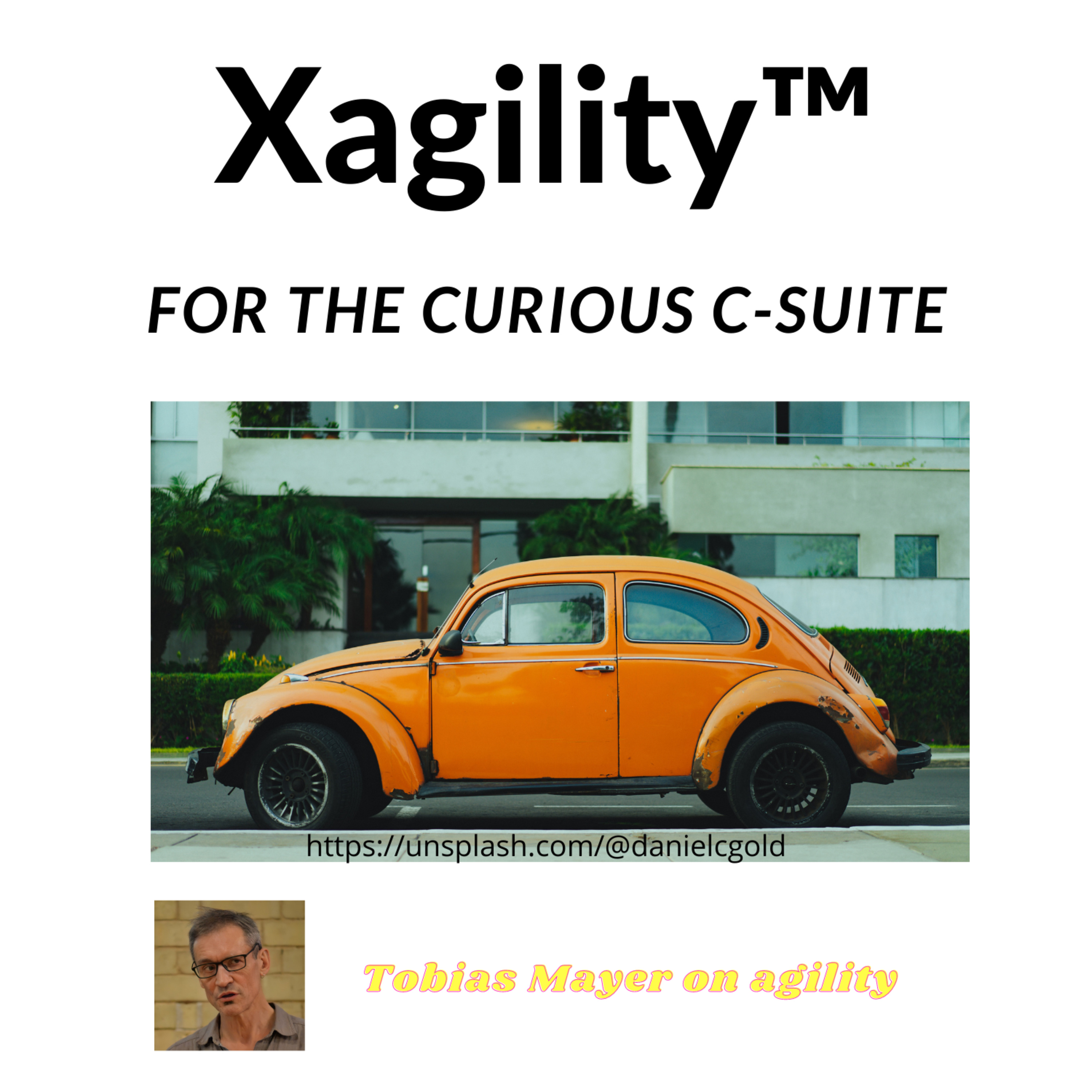 Sustainable Xagility™ - board & executive c-suite agility for the organization\'s direction of travel