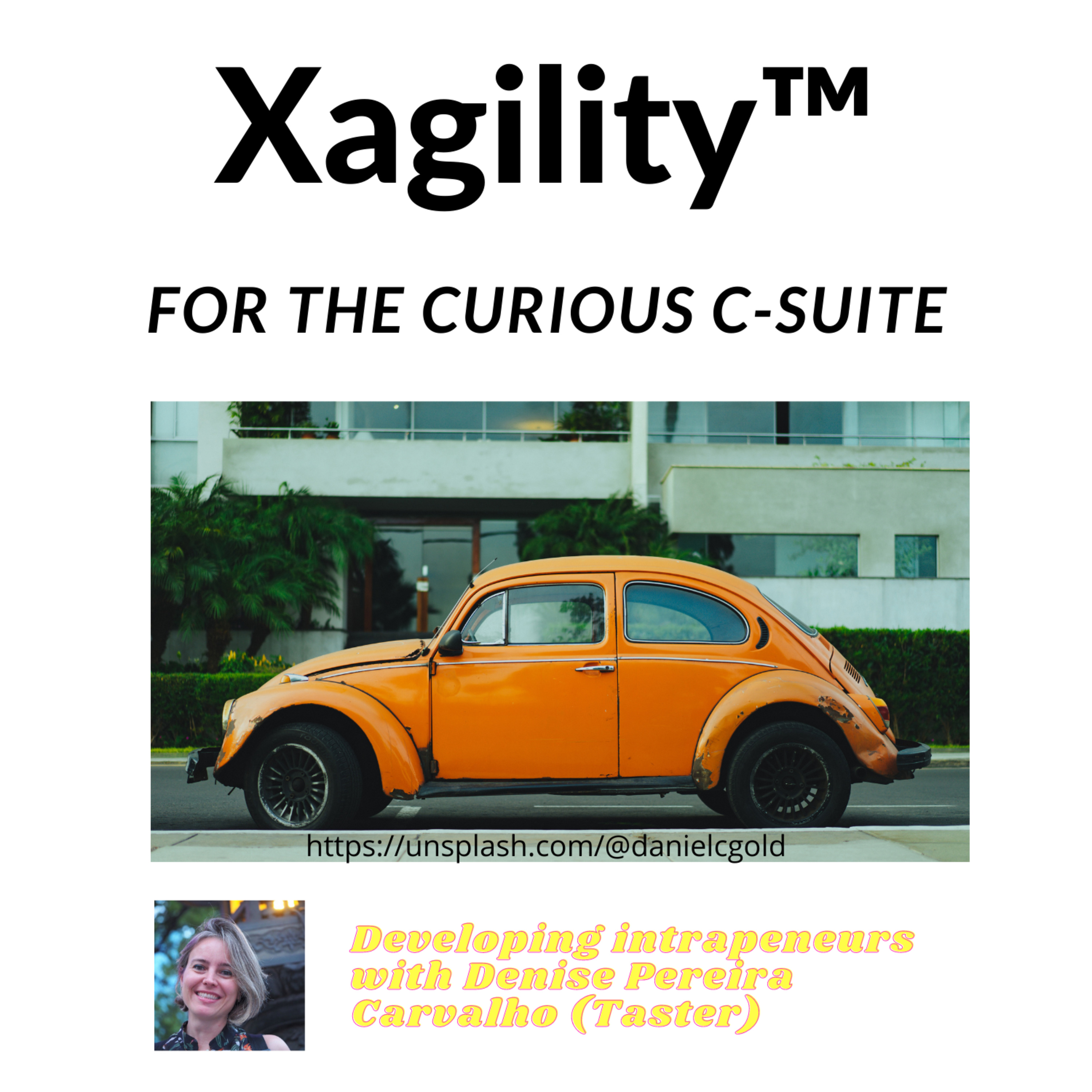 Sustainable Xagility™ - board & executive c-suite agility for the organization\'s direction of travel