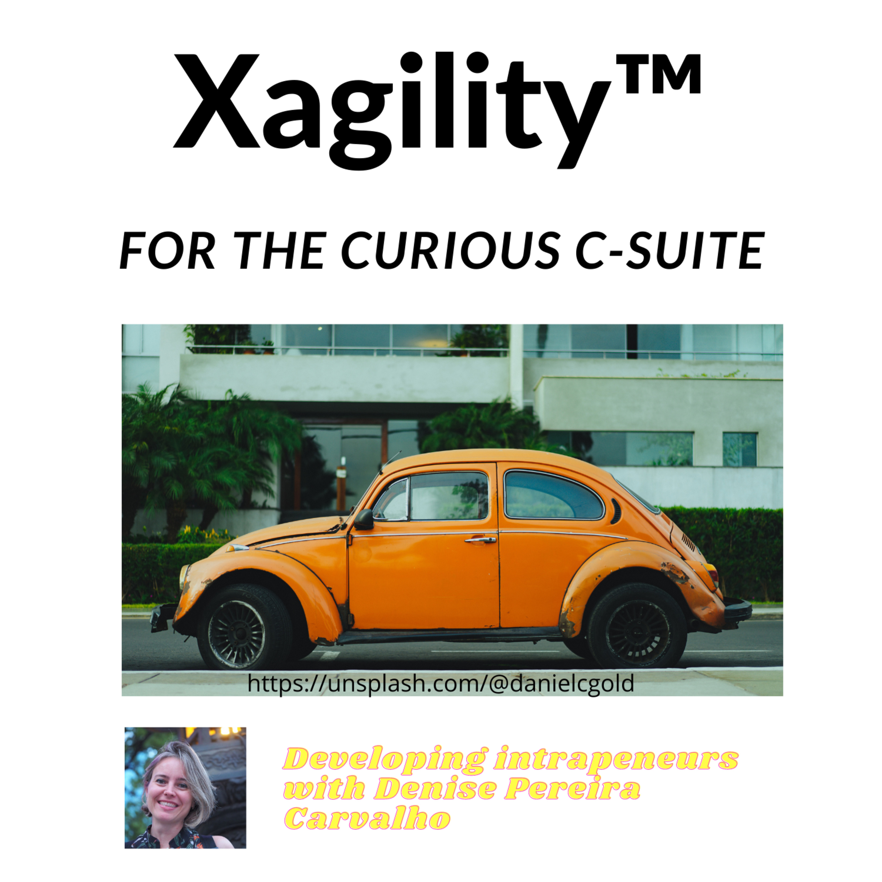 Sustainable Xagility™ - board & executive c-suite agility for the organization\'s direction of travel