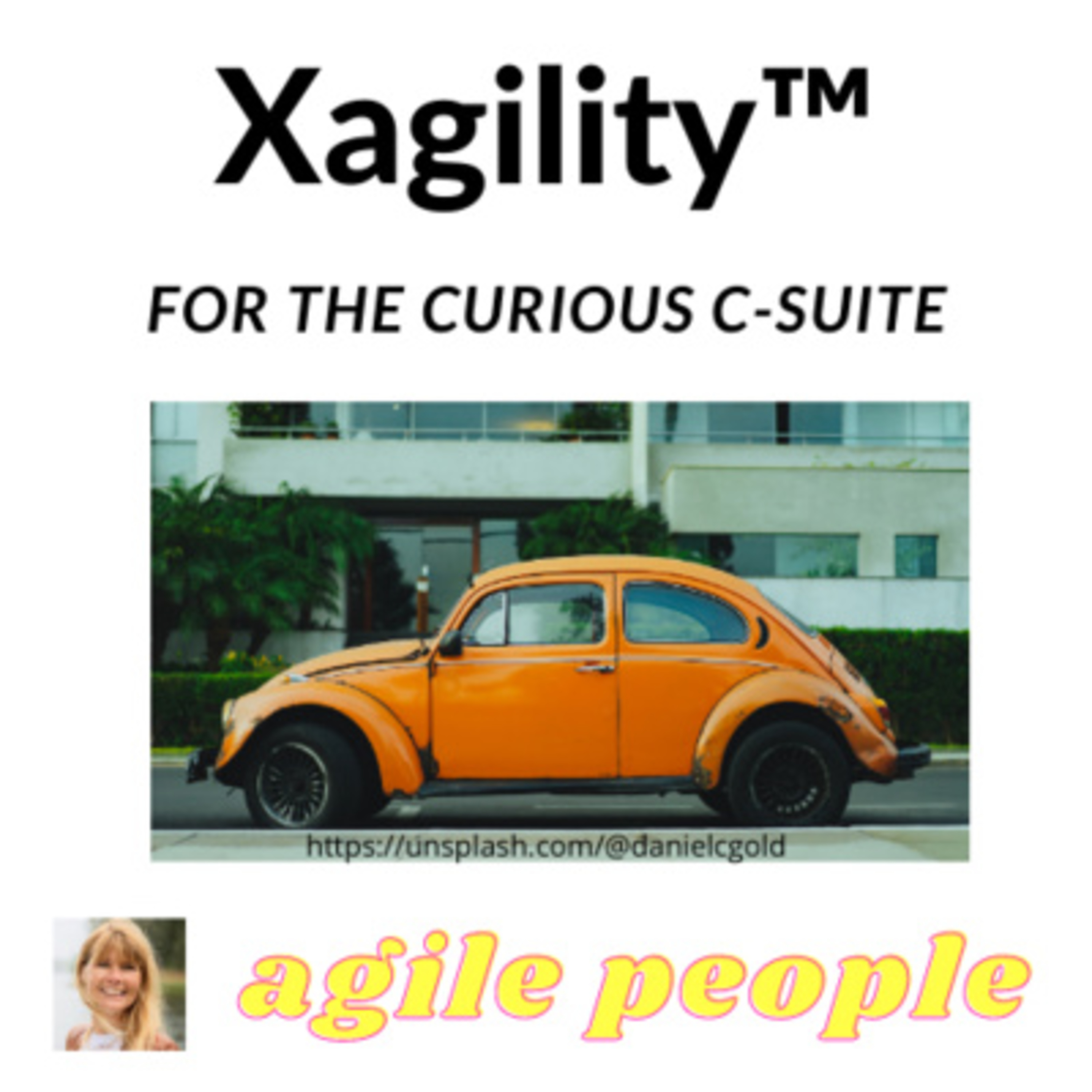 Sustainable Xagility™ - board & executive c-suite agility for the organization\'s direction of travel