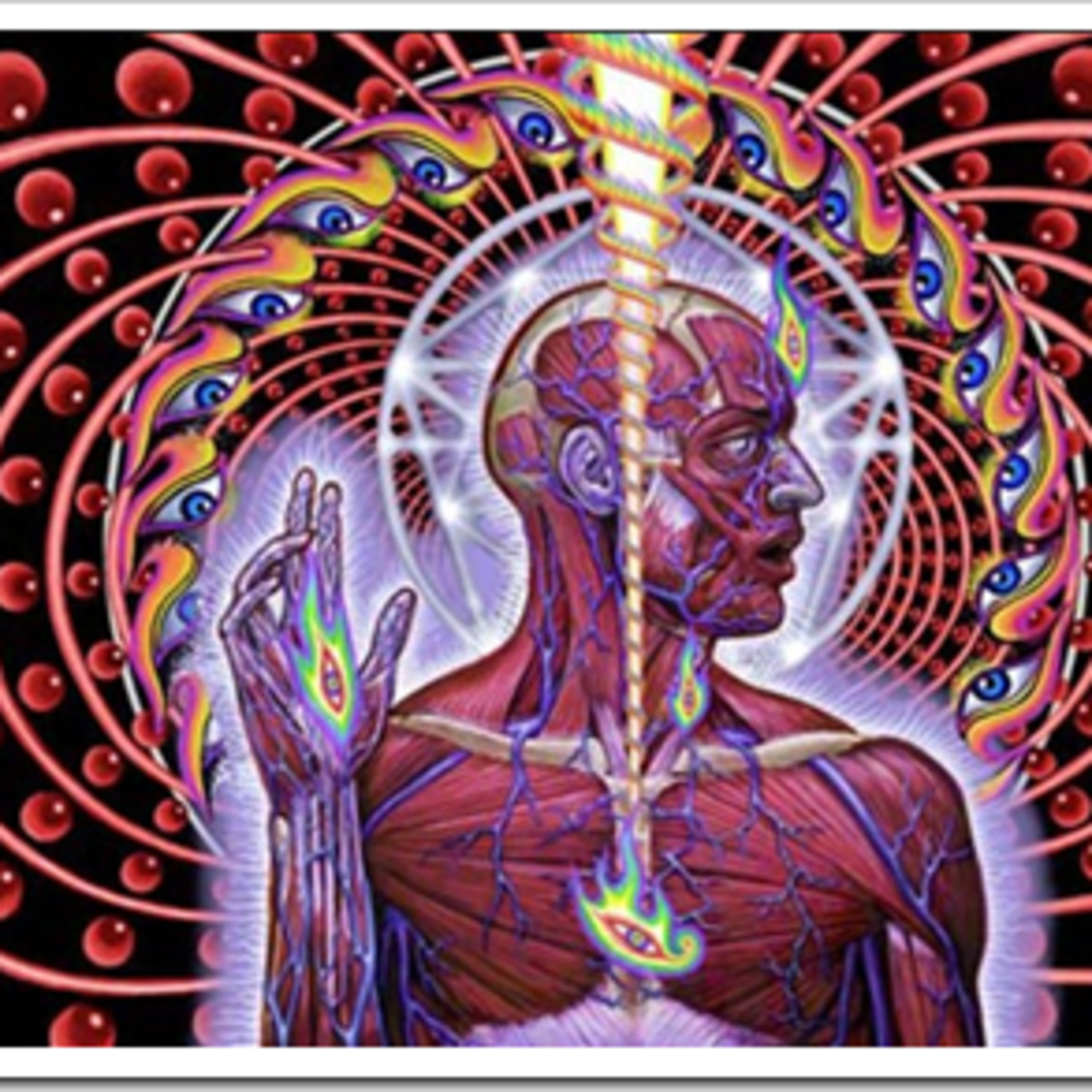 AMPLIANDO LA CONSCIENCIA DESDE UN CUERPO FÍSICO A LA HUMANIDAD