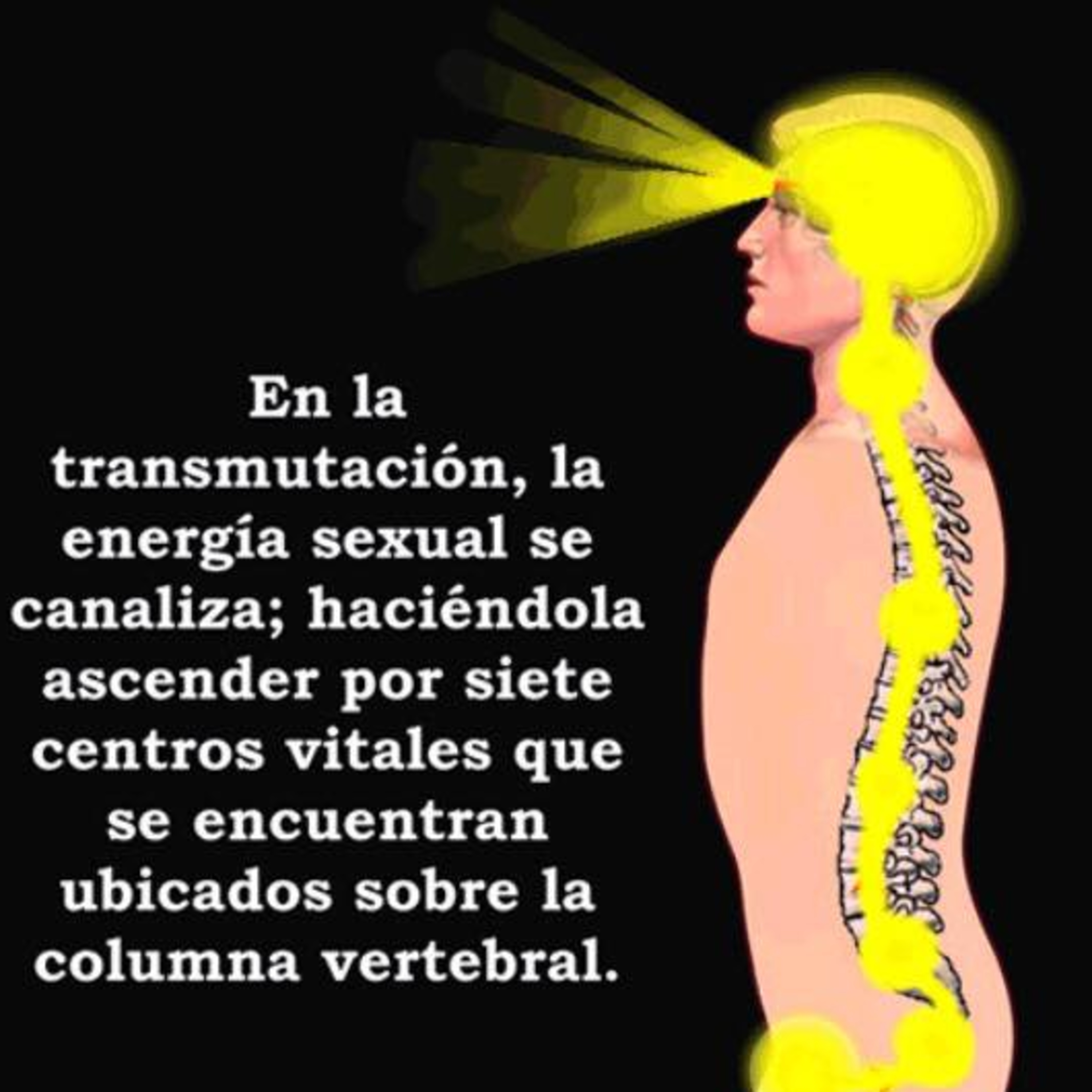 RECONOCIENDO MI CUERPO SAGRADO
