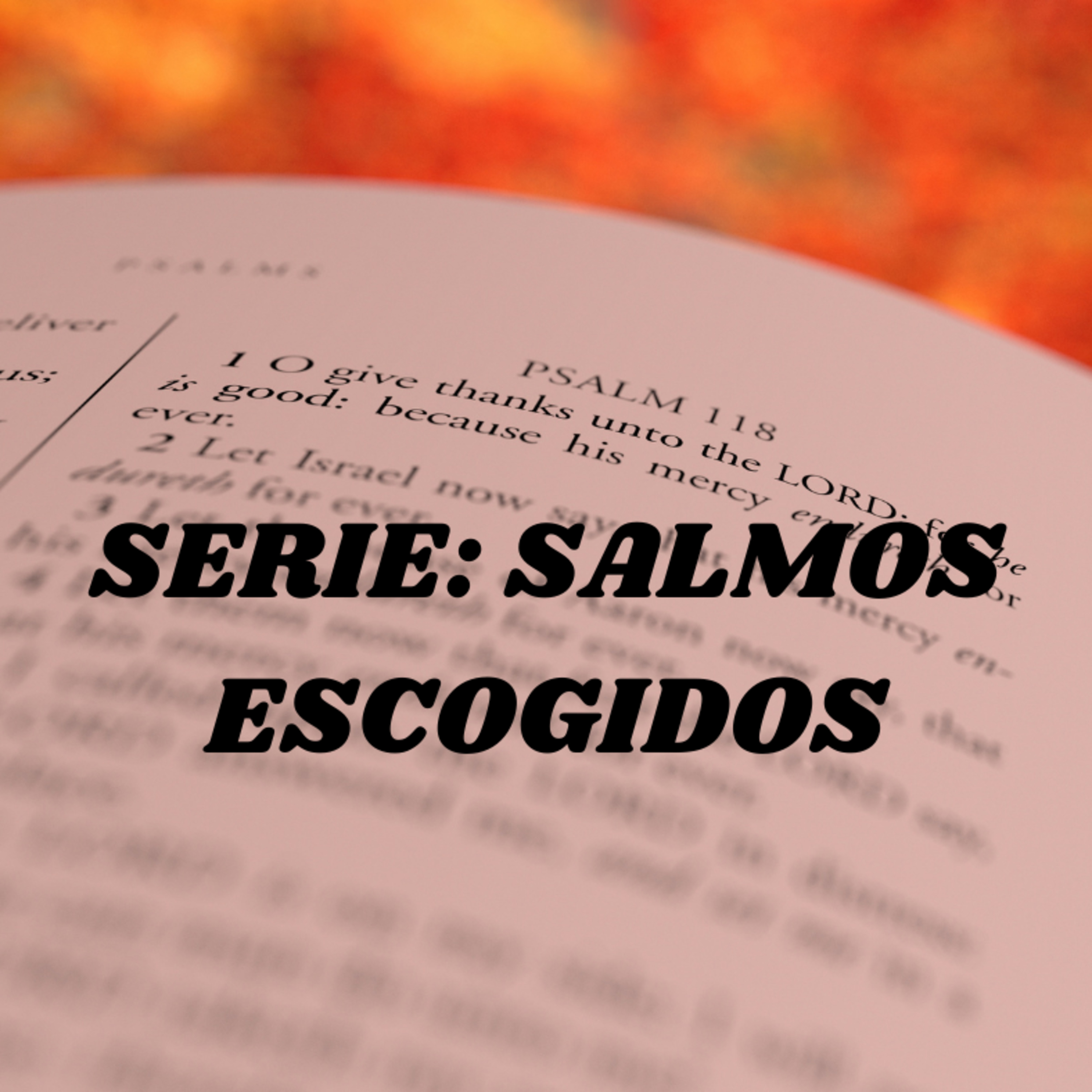 Salmo 19 episode artwork