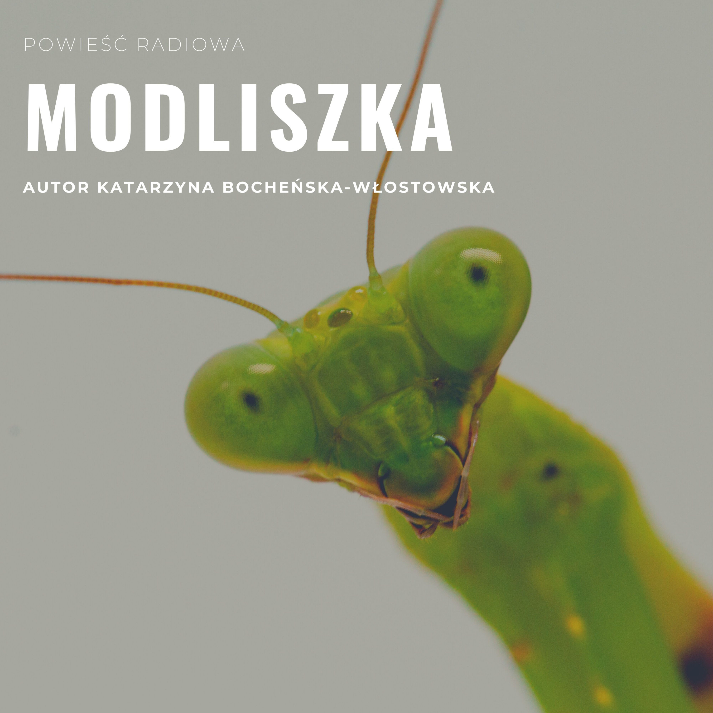 Katarzyna Bocheńska-Włostowska