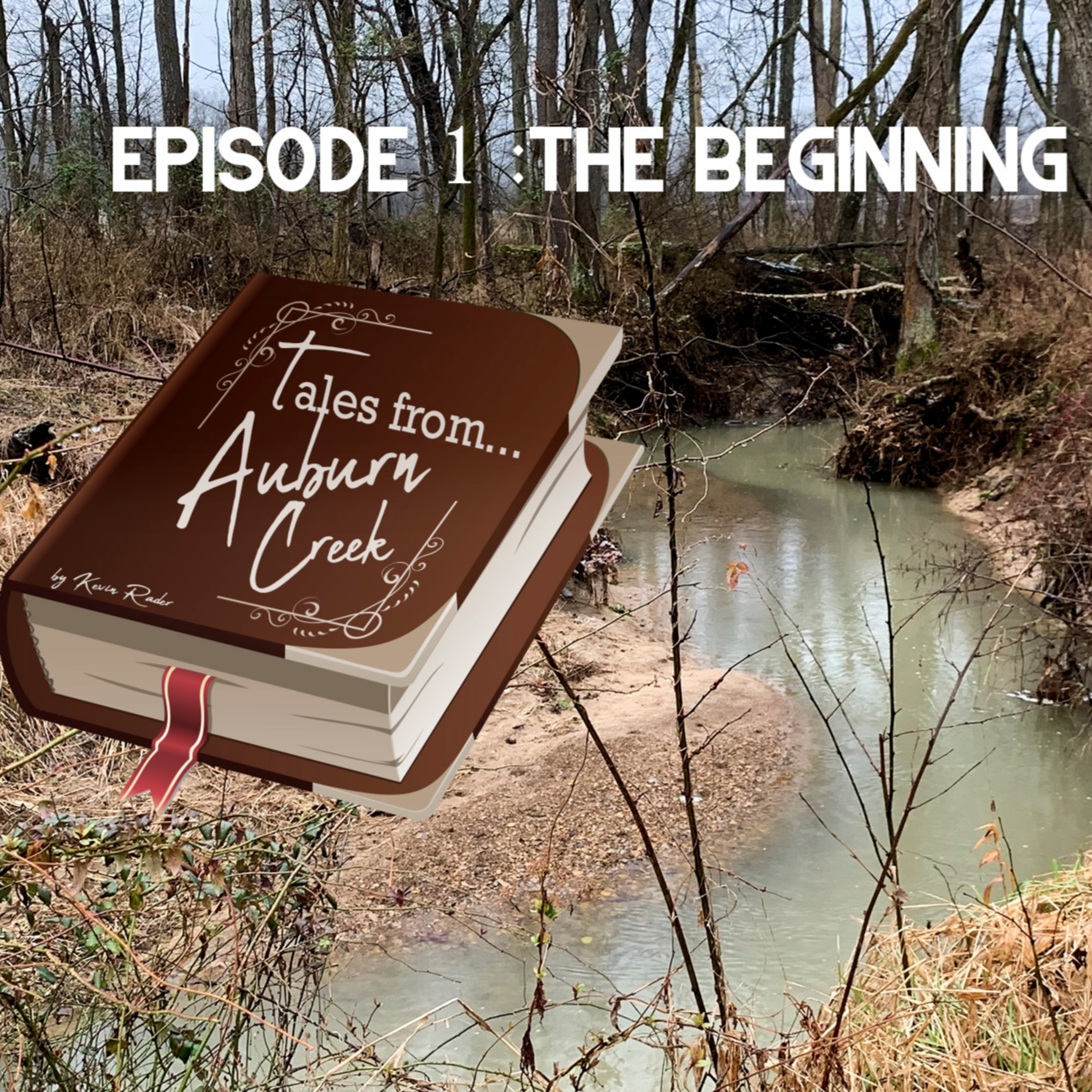 Tales from Auburn Creek