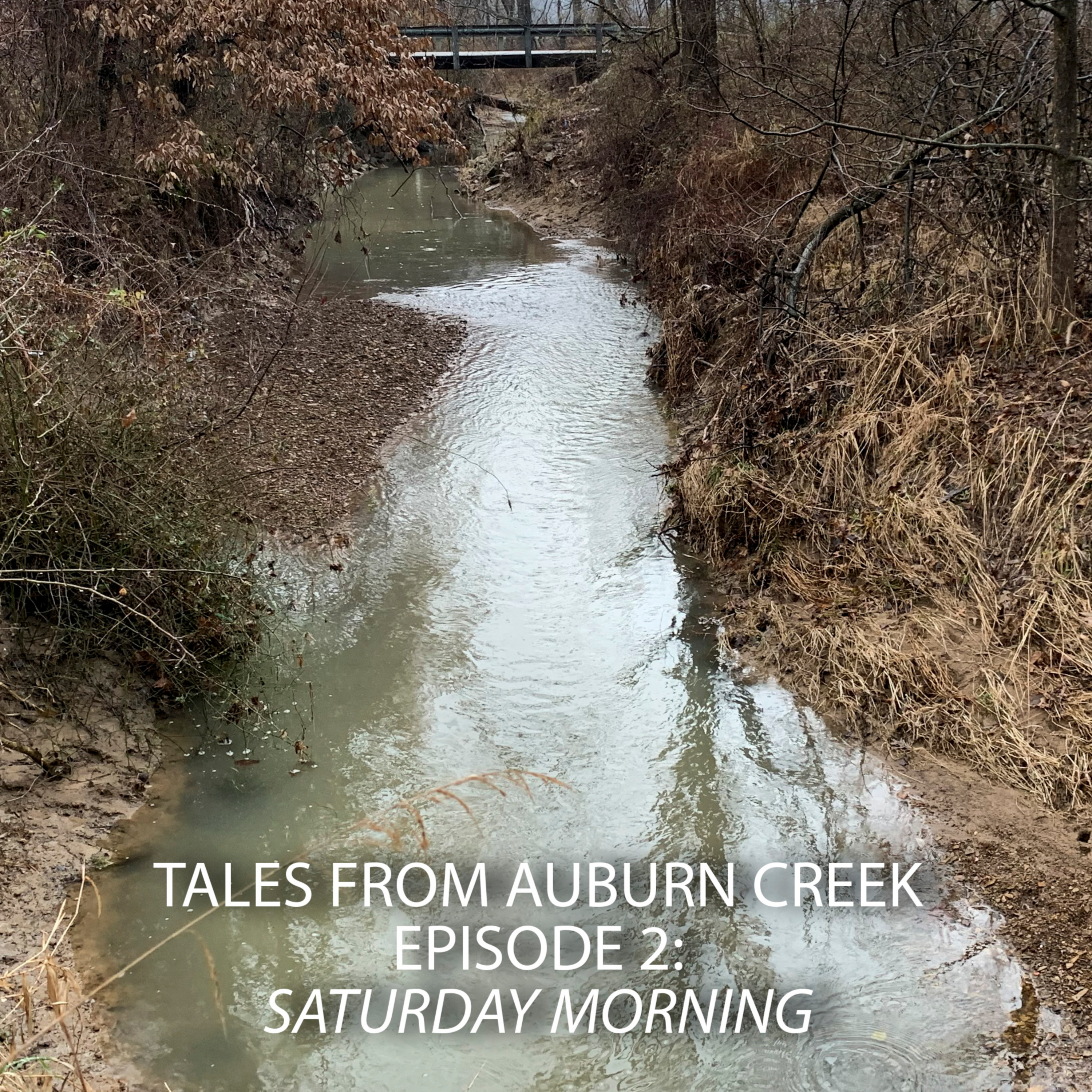 Tales from Auburn Creek