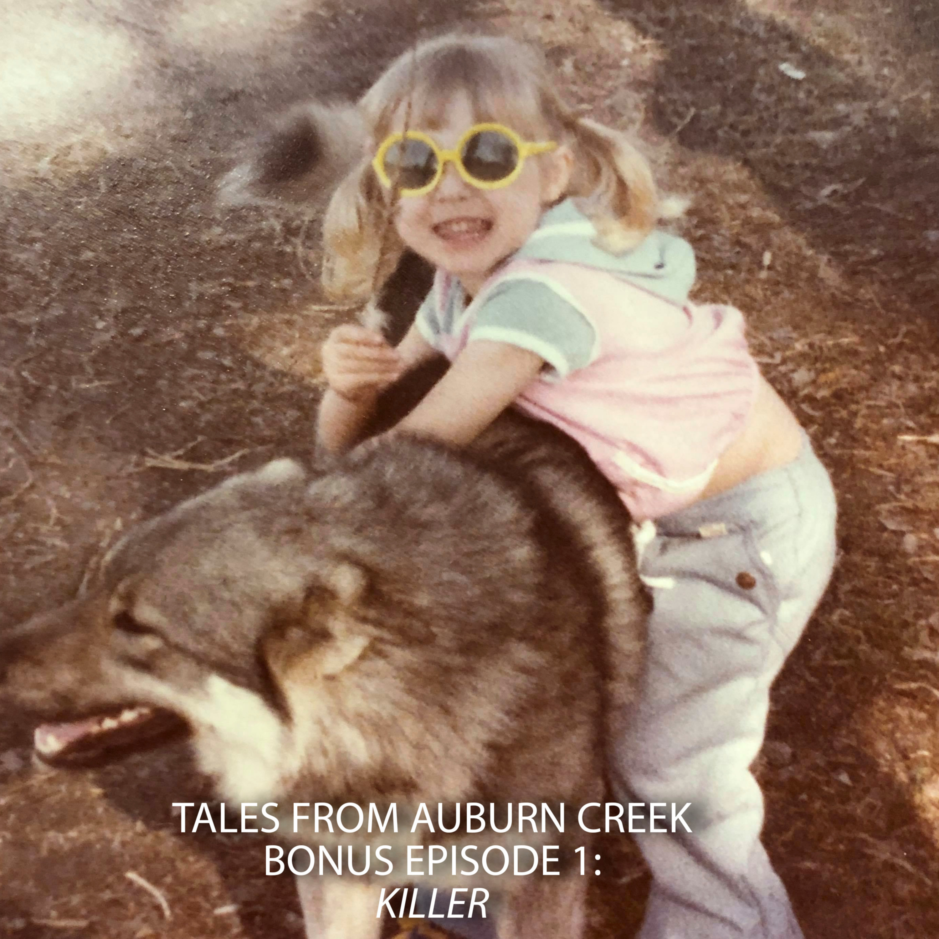 Tales from Auburn Creek