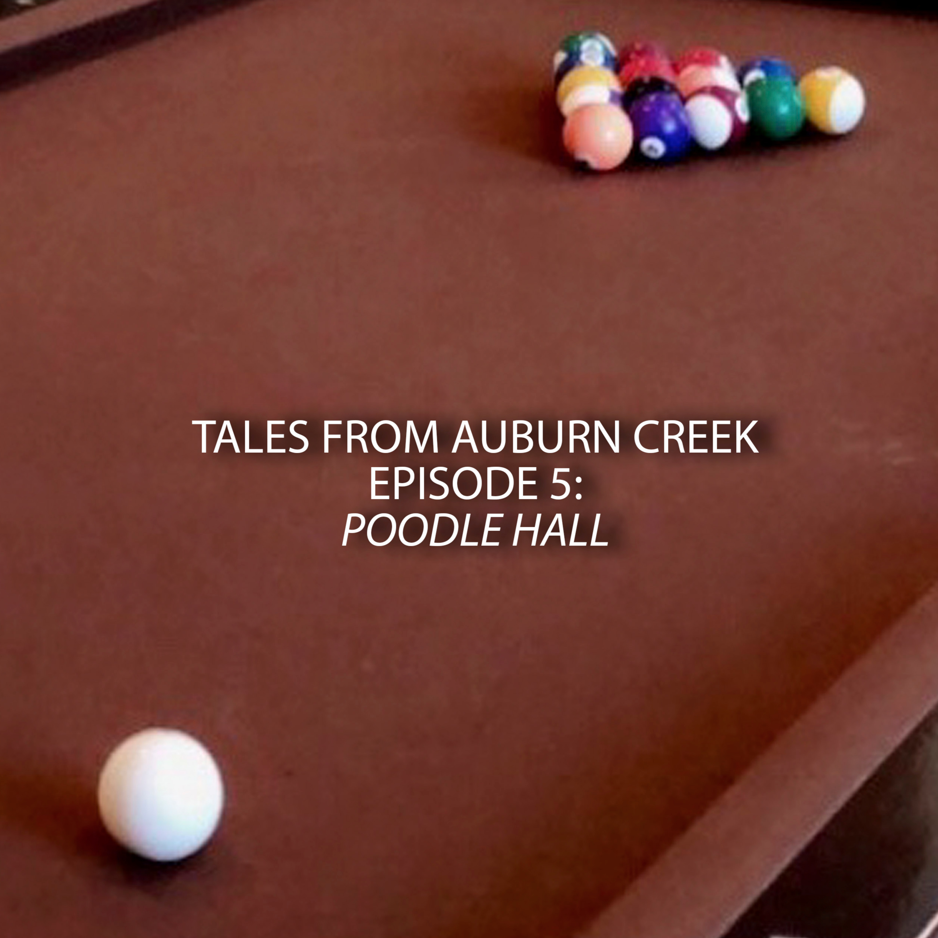 Tales from Auburn Creek
