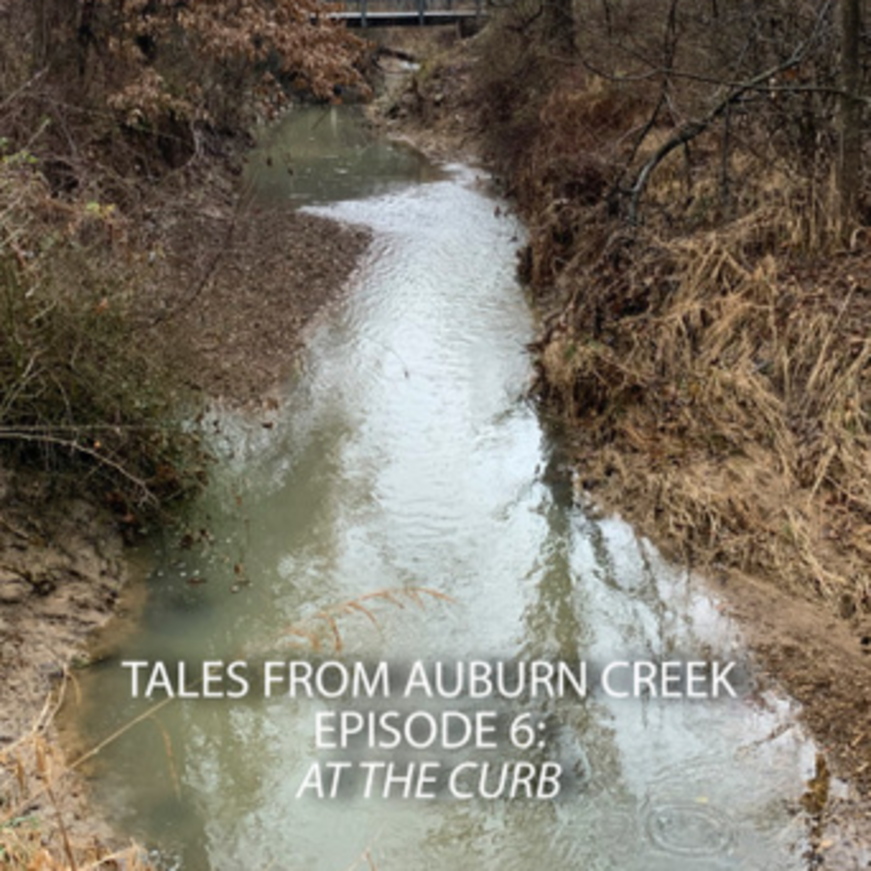 Tales from Auburn Creek