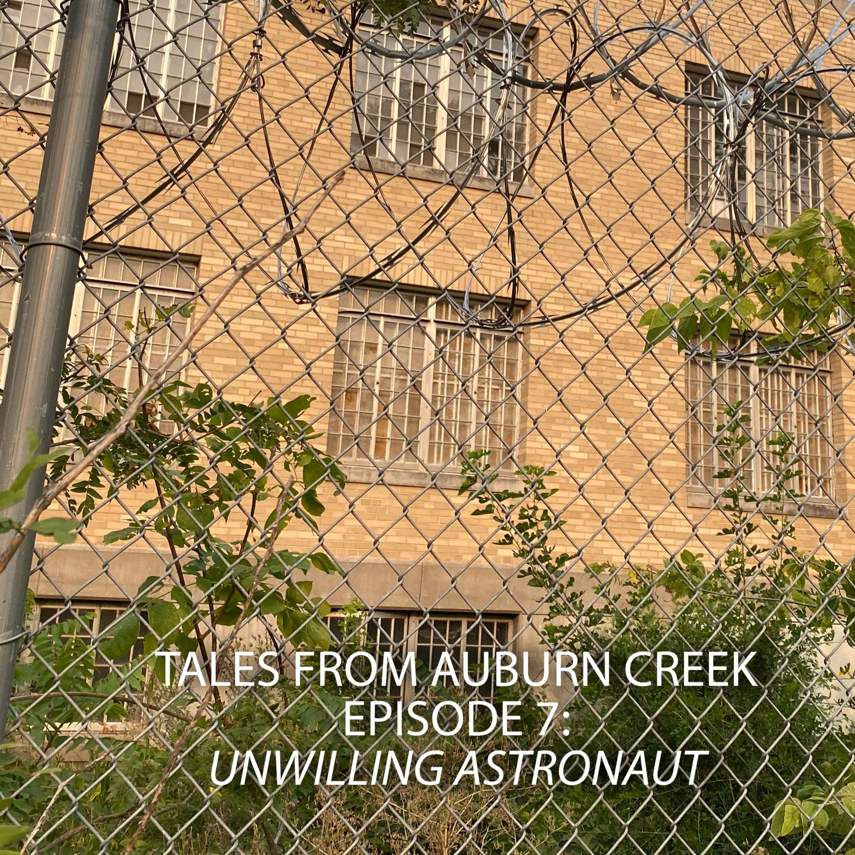 Tales from Auburn Creek