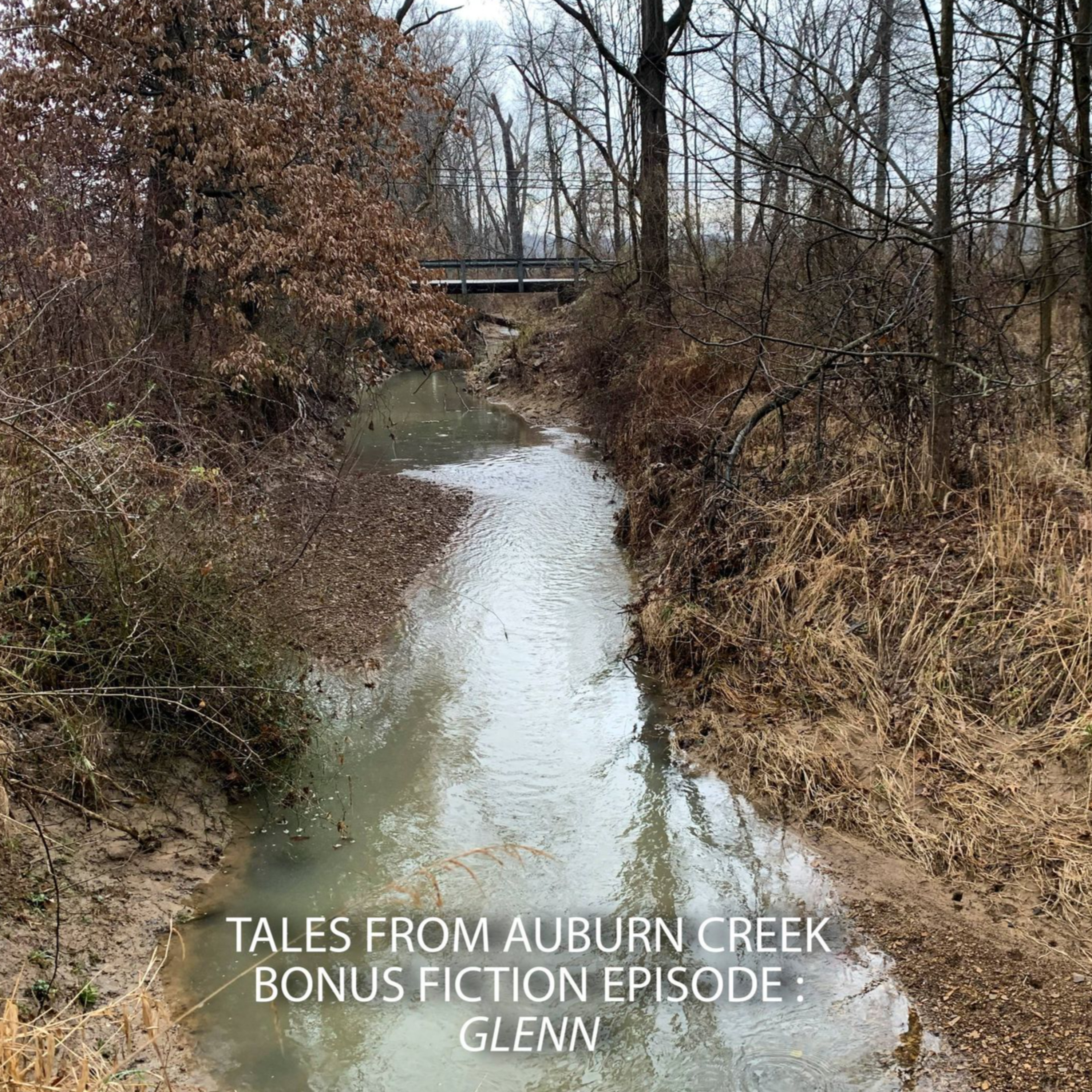 Tales from Auburn Creek