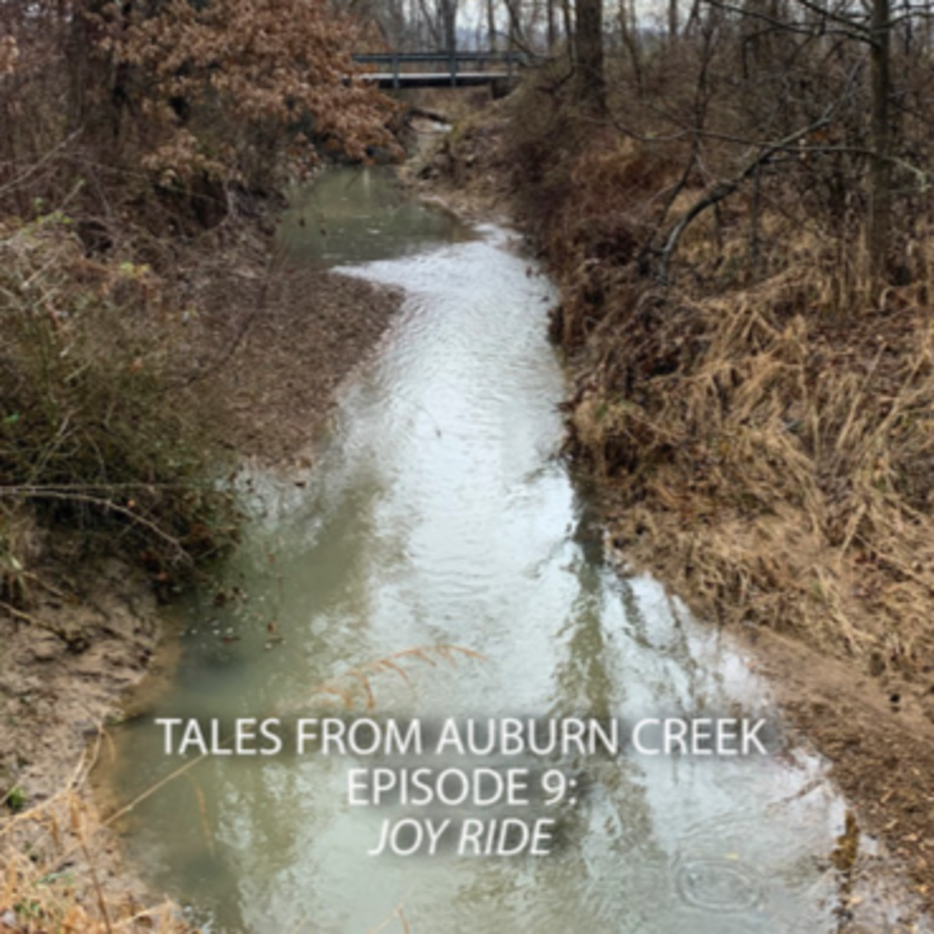 Tales from Auburn Creek