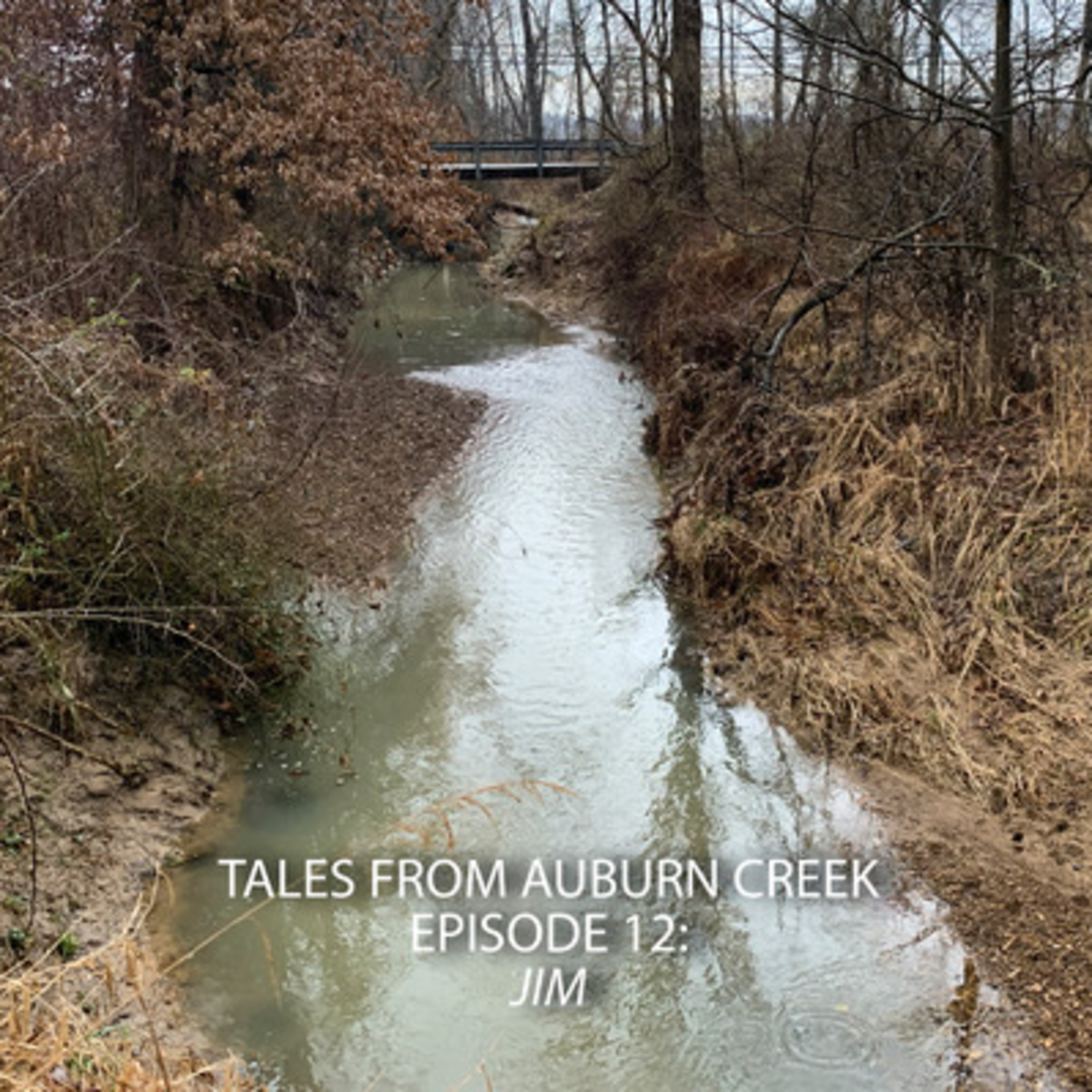 Tales from Auburn Creek