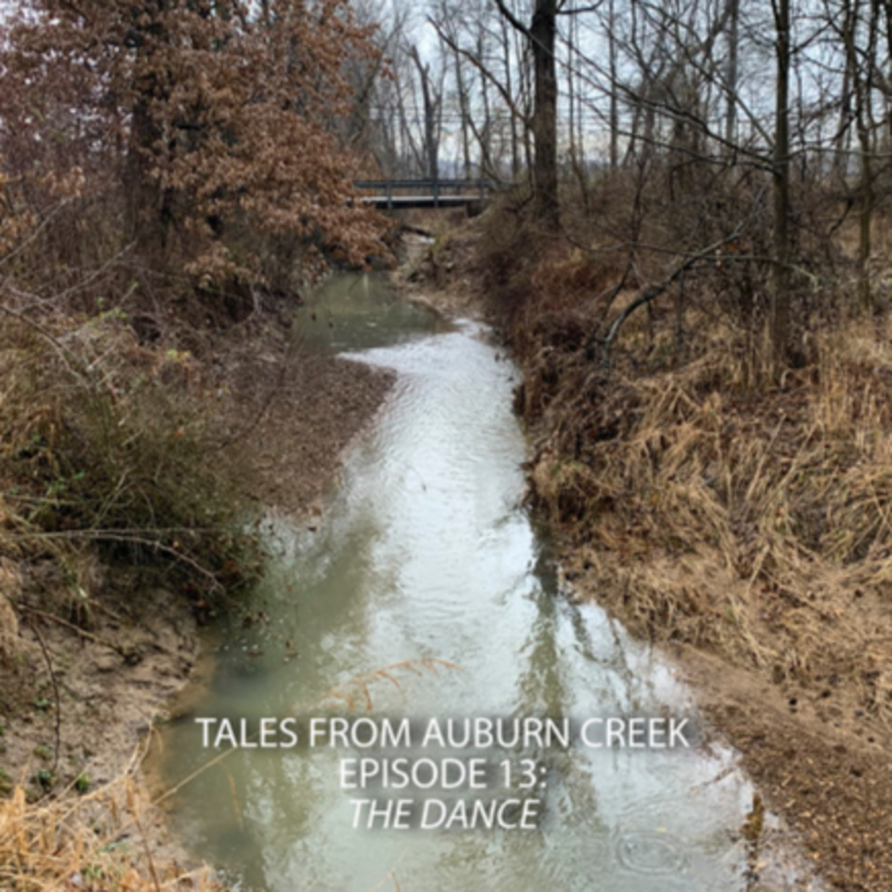 Tales from Auburn Creek