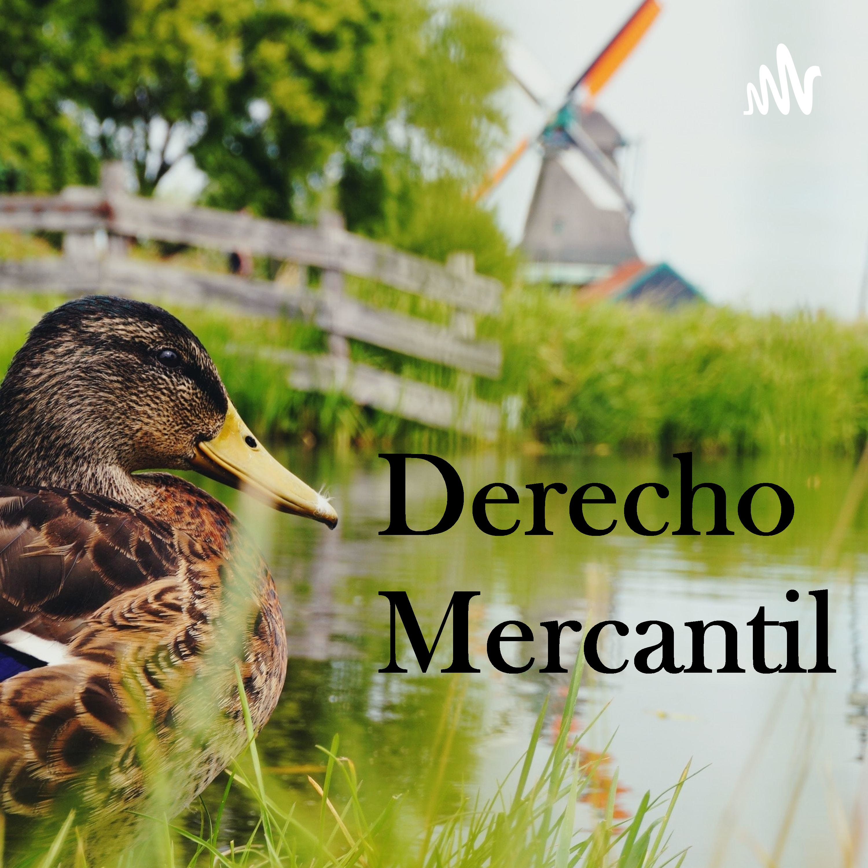 La empresa mercantil