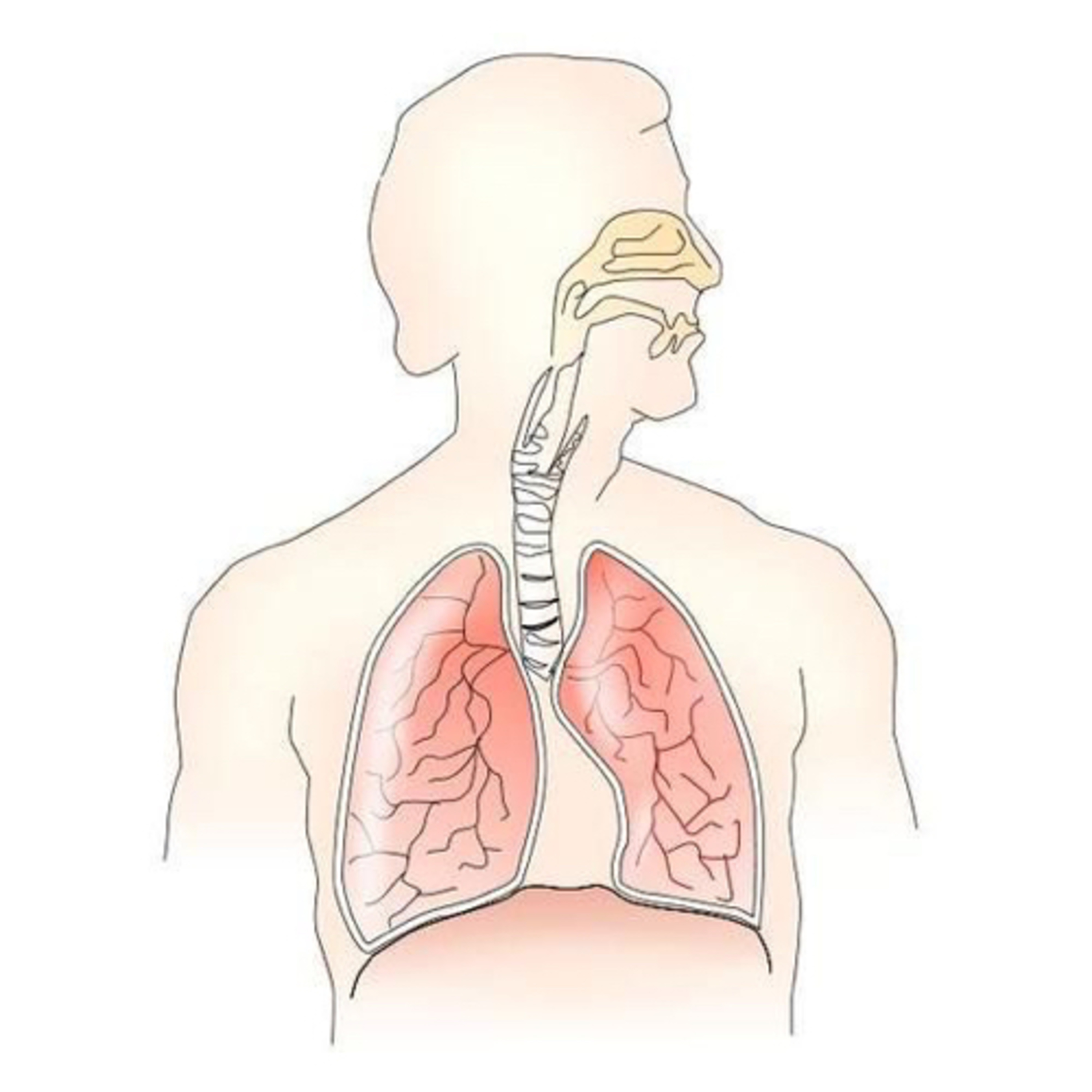 Sistema Respiraradio