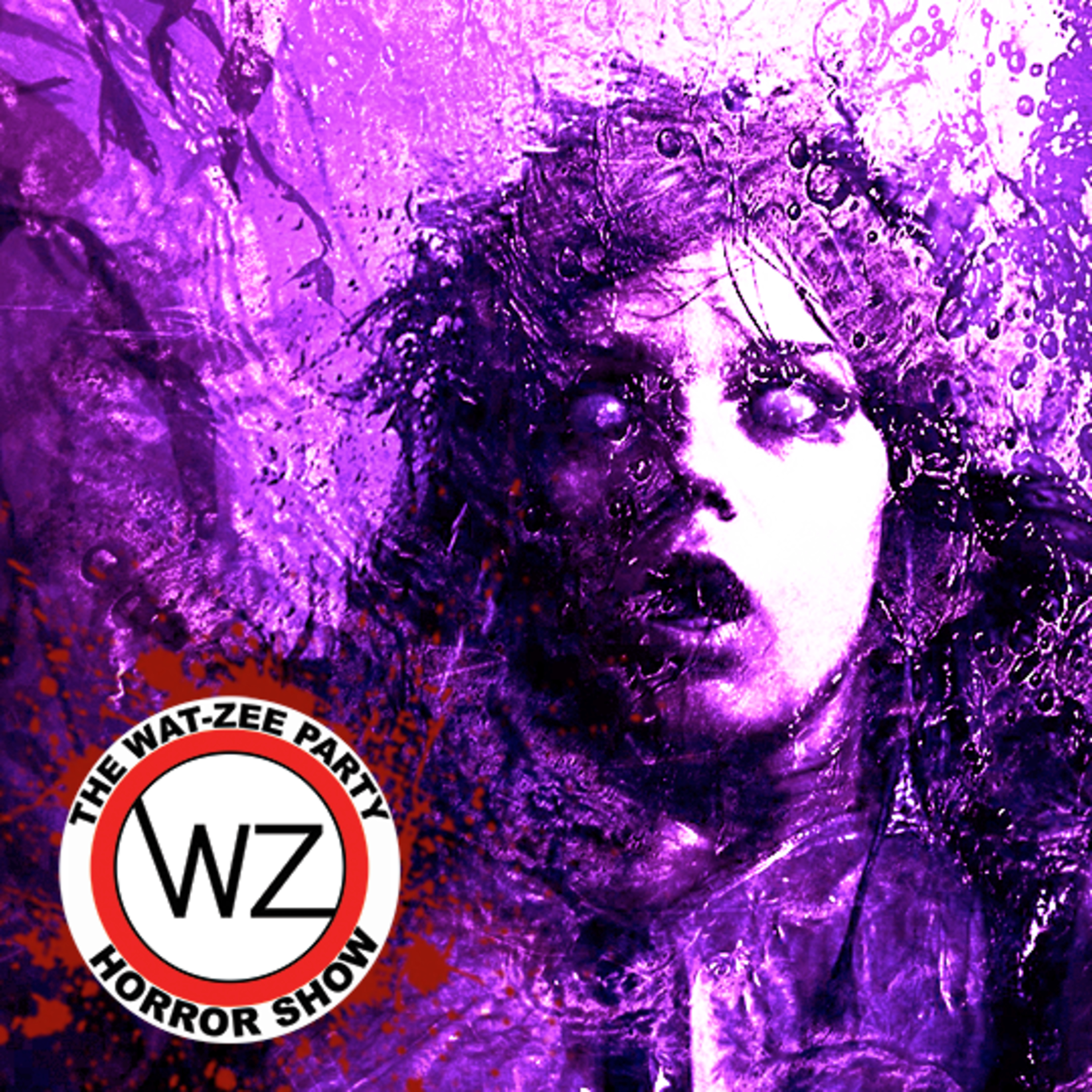 THE WAT-ZEE PARTY HORROR SHOW 020: The Canal (2014) episode artwork