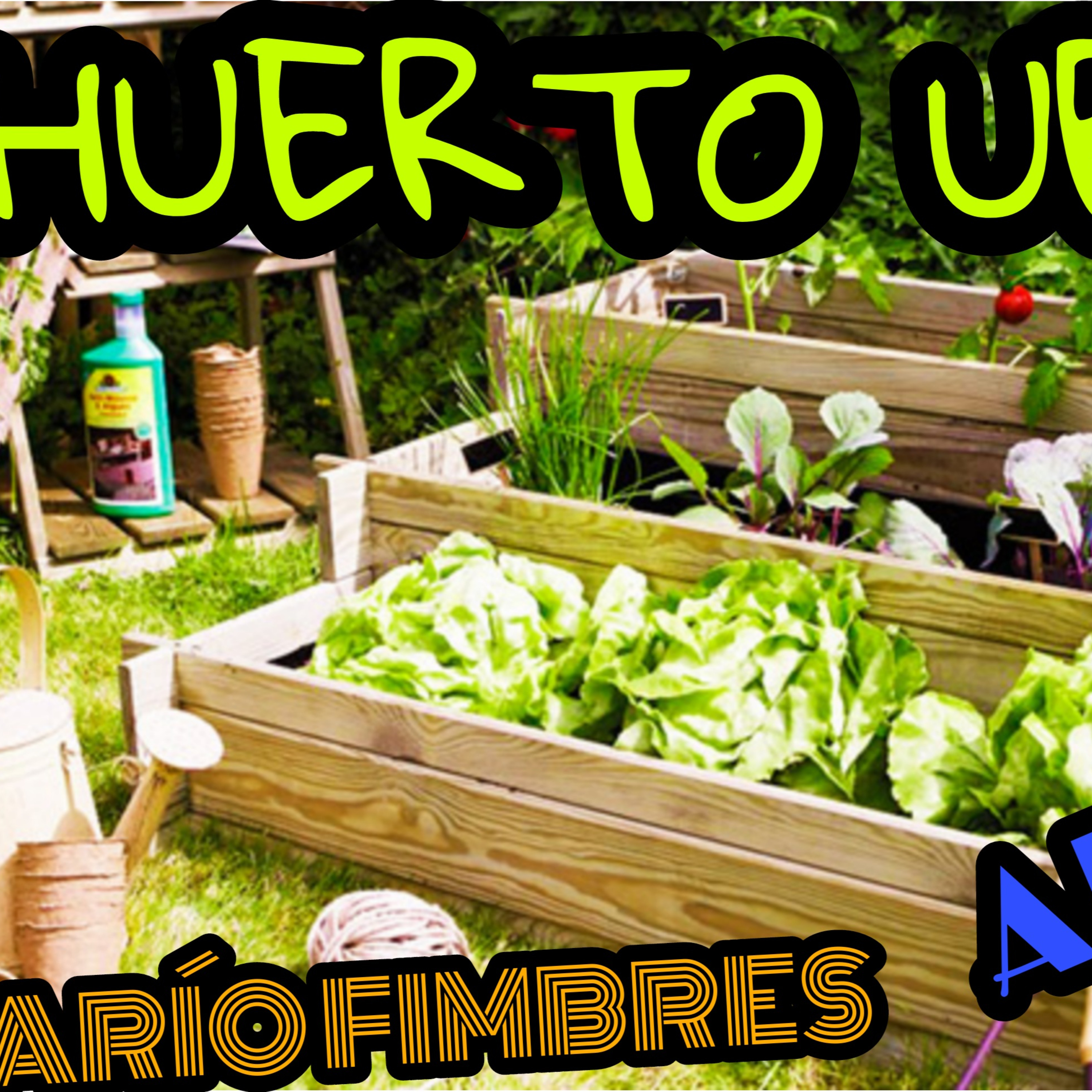 EP 17 ALV HUERTO URBANO EN CASA, HACERLO VERTICAL, EN MÉXICO. EN TERRAZA O AZOTEA. CON DARÍO FIMBRES