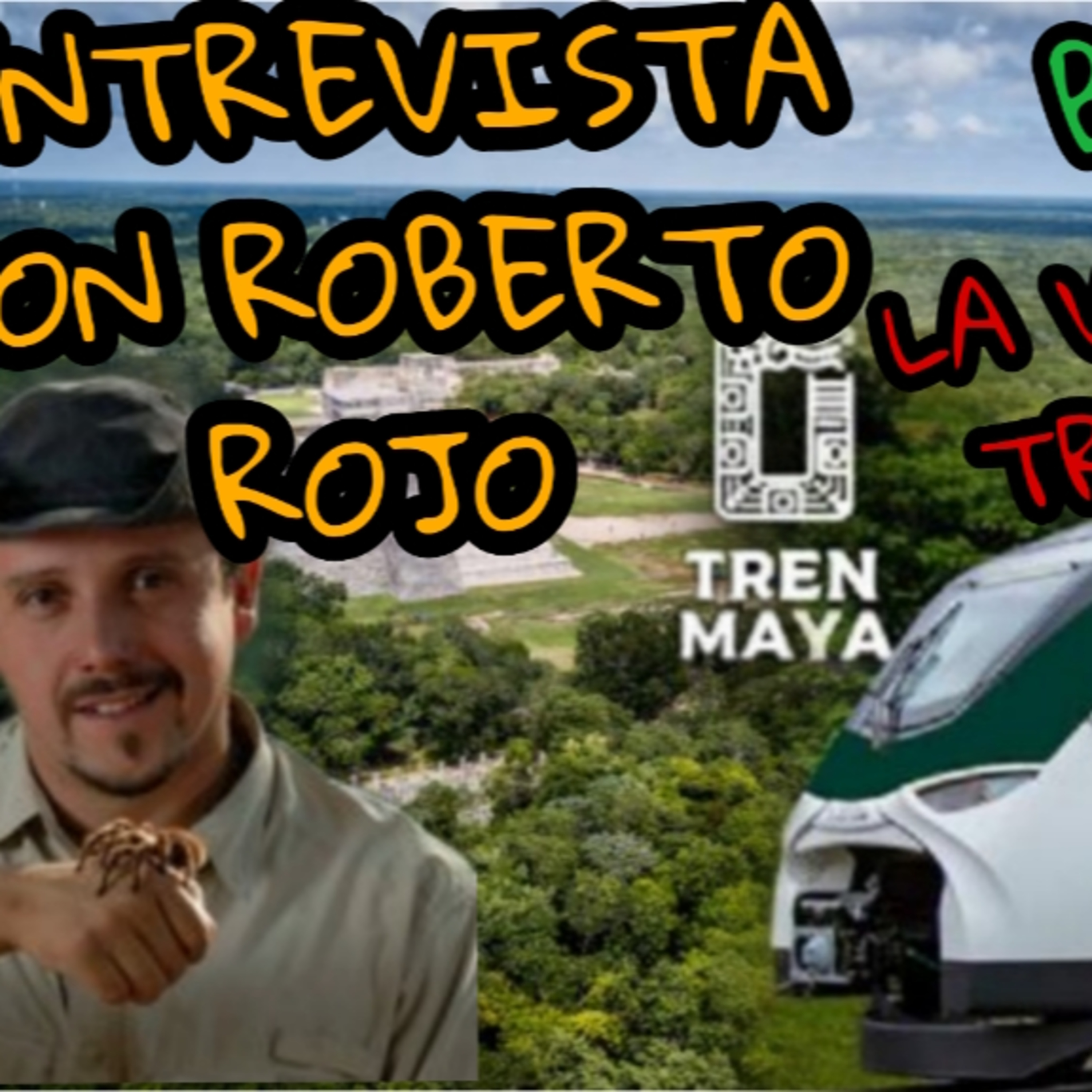 ALV ASÍ LO VEMOS