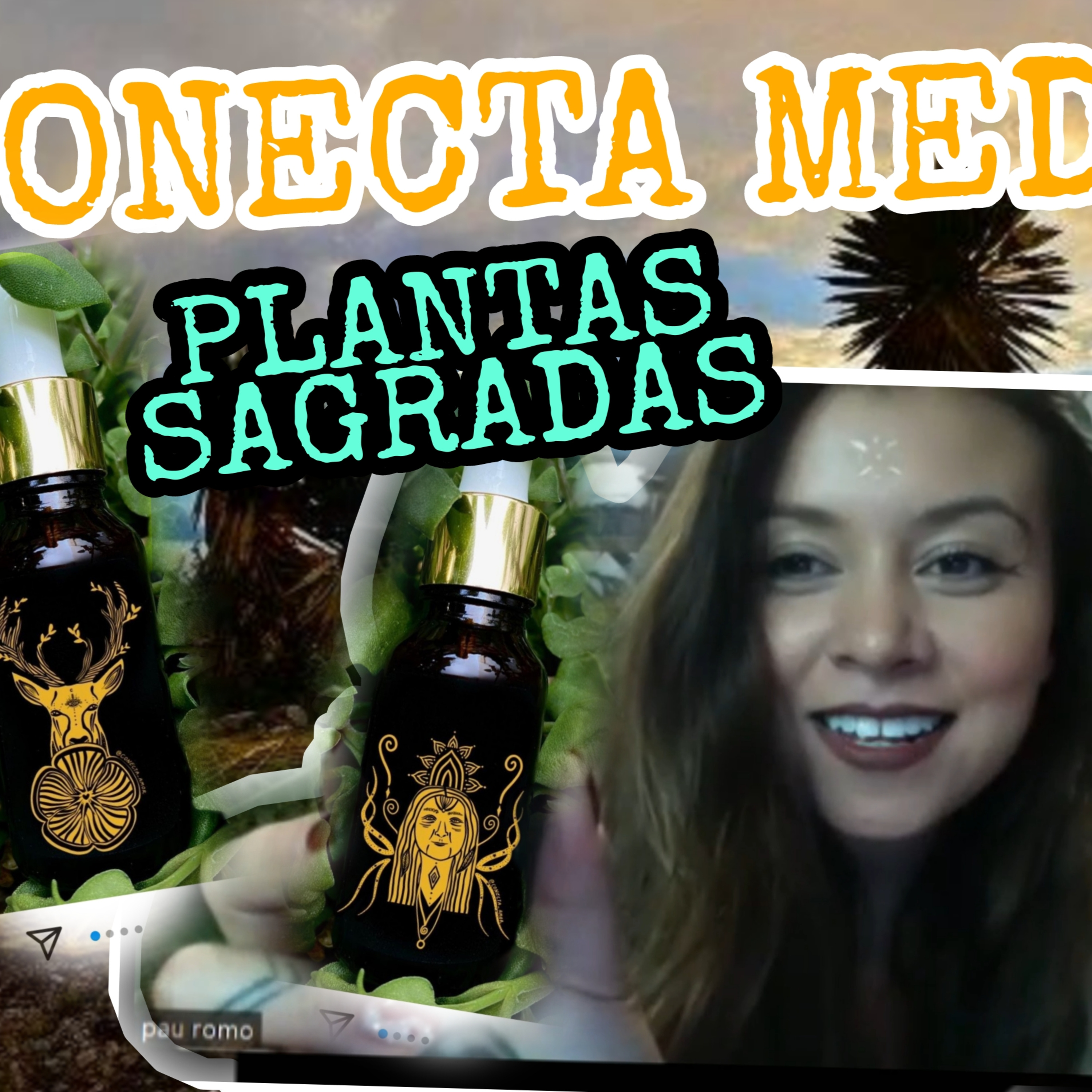 PLANTAS SAGRADAS CON PAU ROMO, MICRO DOSIS DE PLANTAS DE PODER, ABUELA AYAHU4ASCA Y HONGOS MÁGICOS