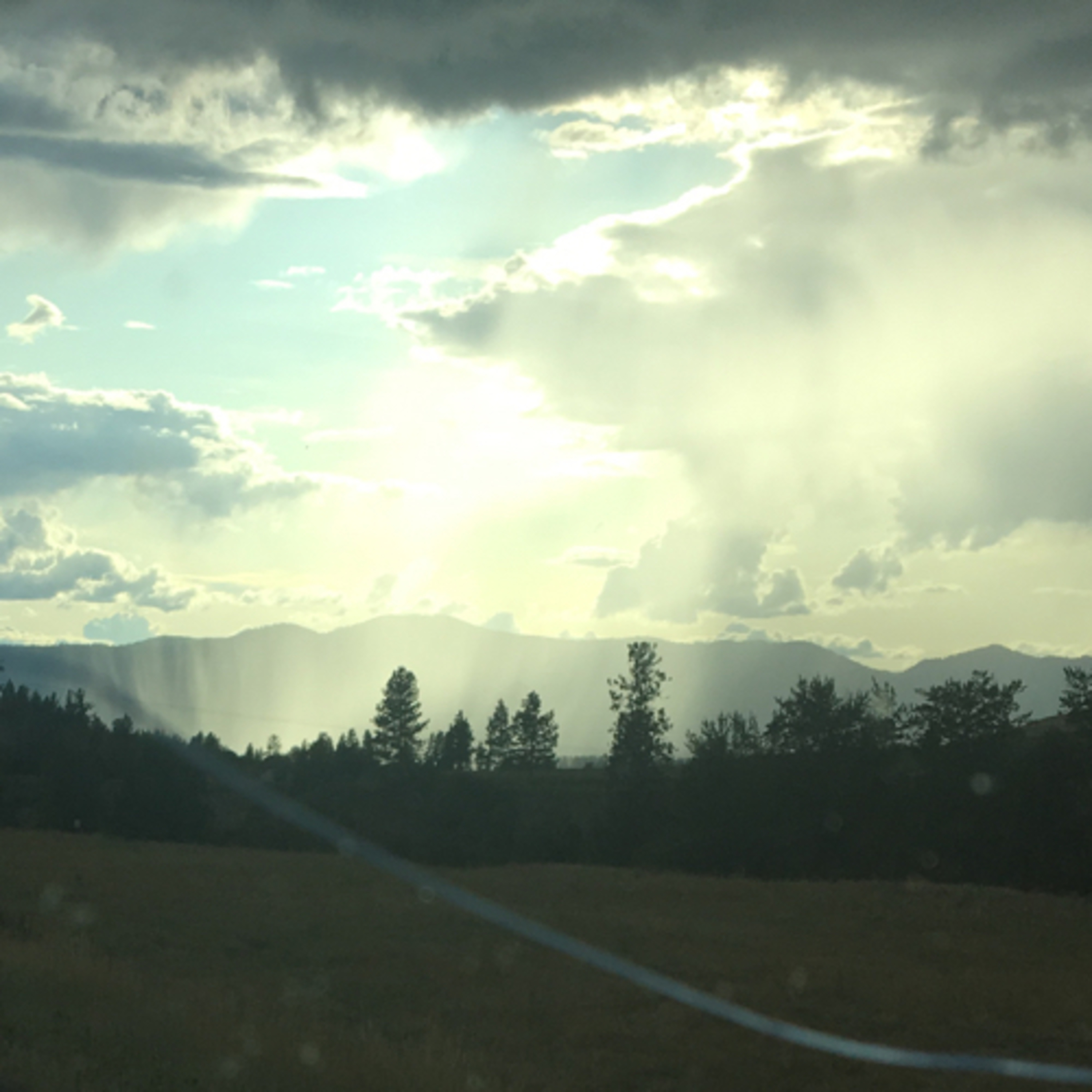 Agricultural workforce in Washington state