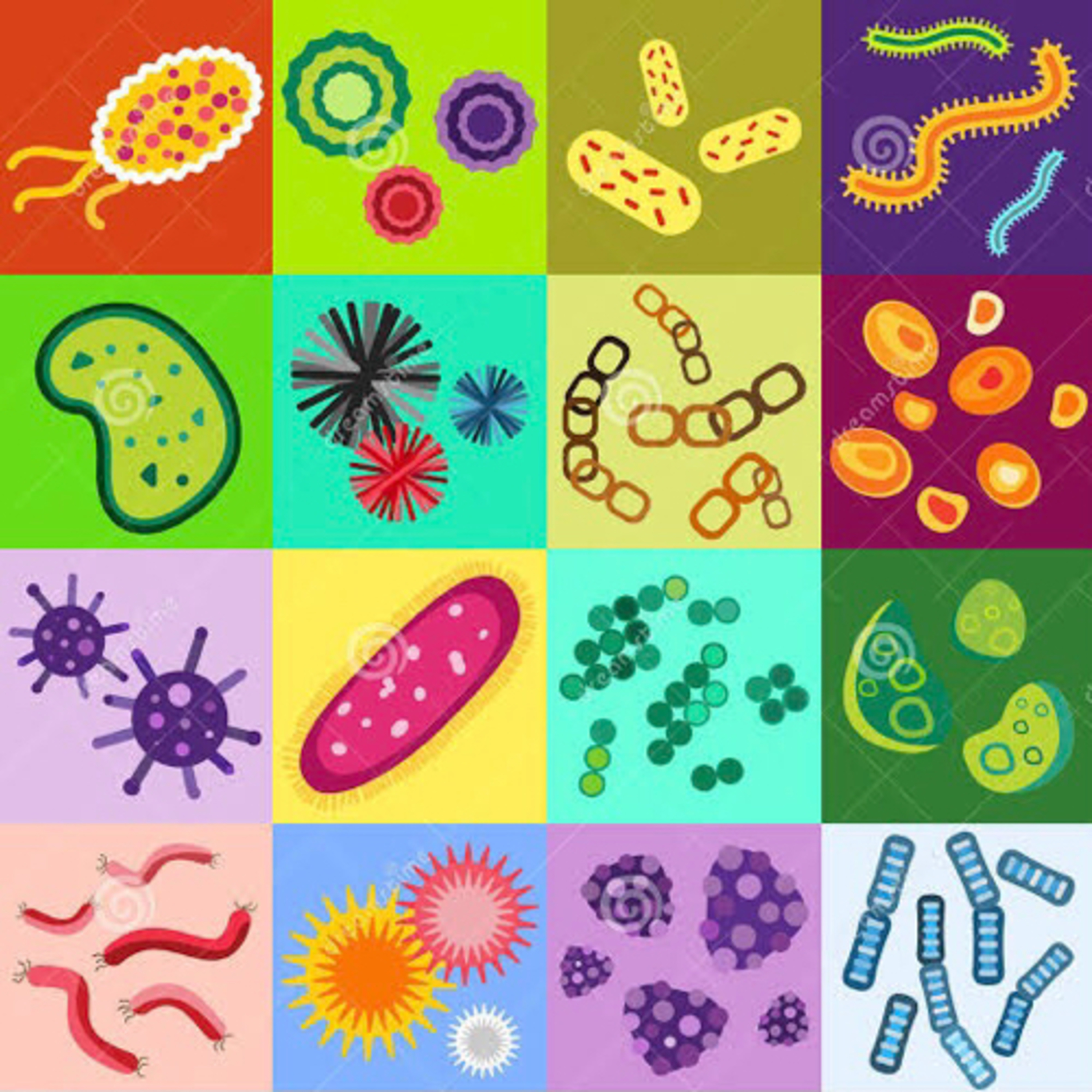 A MICROBIOLOGIA E SUA IMPORTÂNCIA 