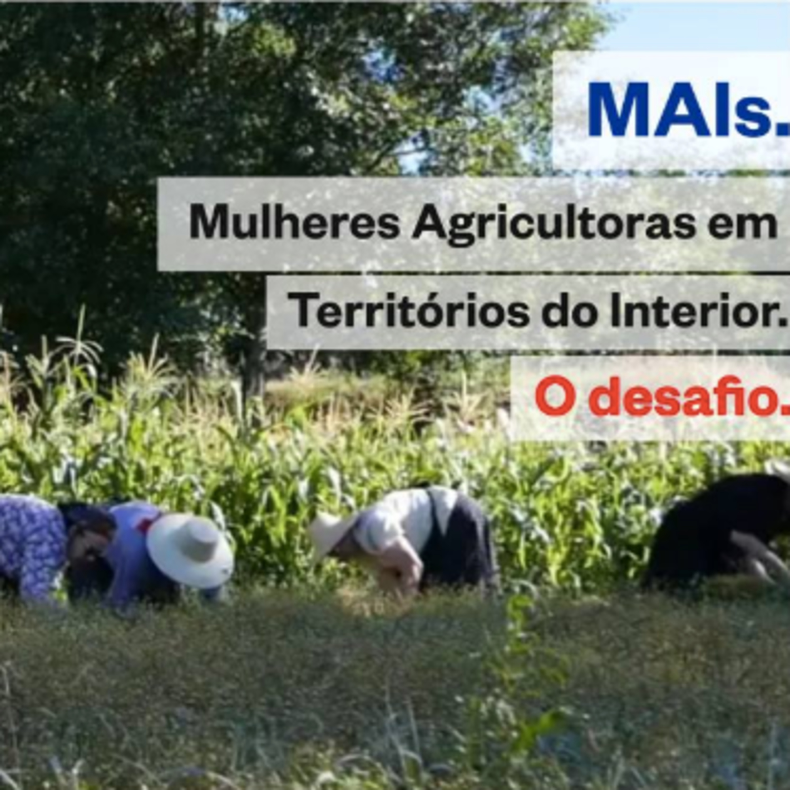 Caravana AgroEcológica na Rádio