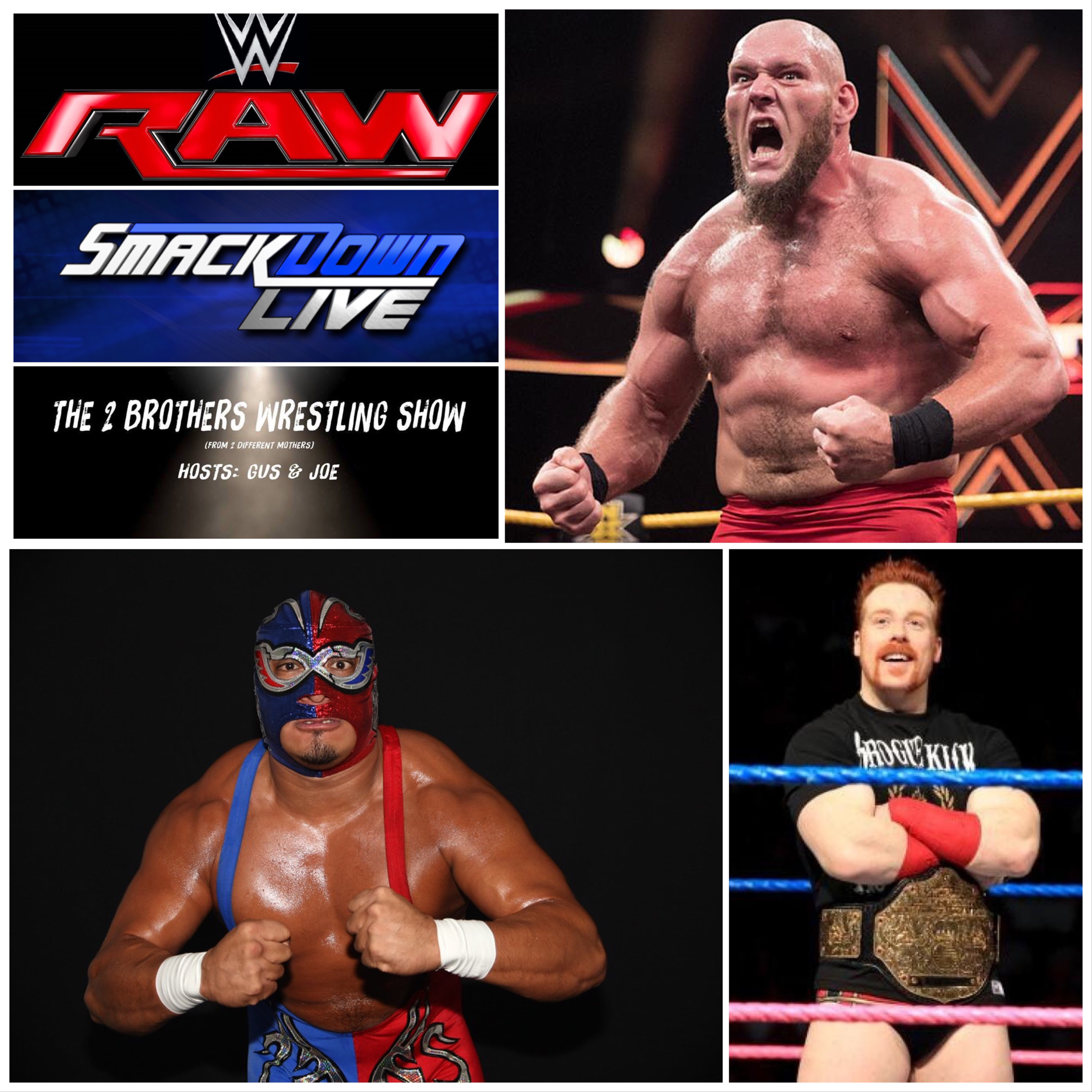 The 2 Brothers Wrestling Show